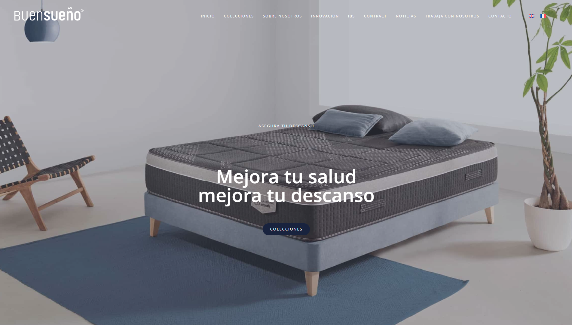 Página web de Bueno Sueño diseñada por Chillypills
