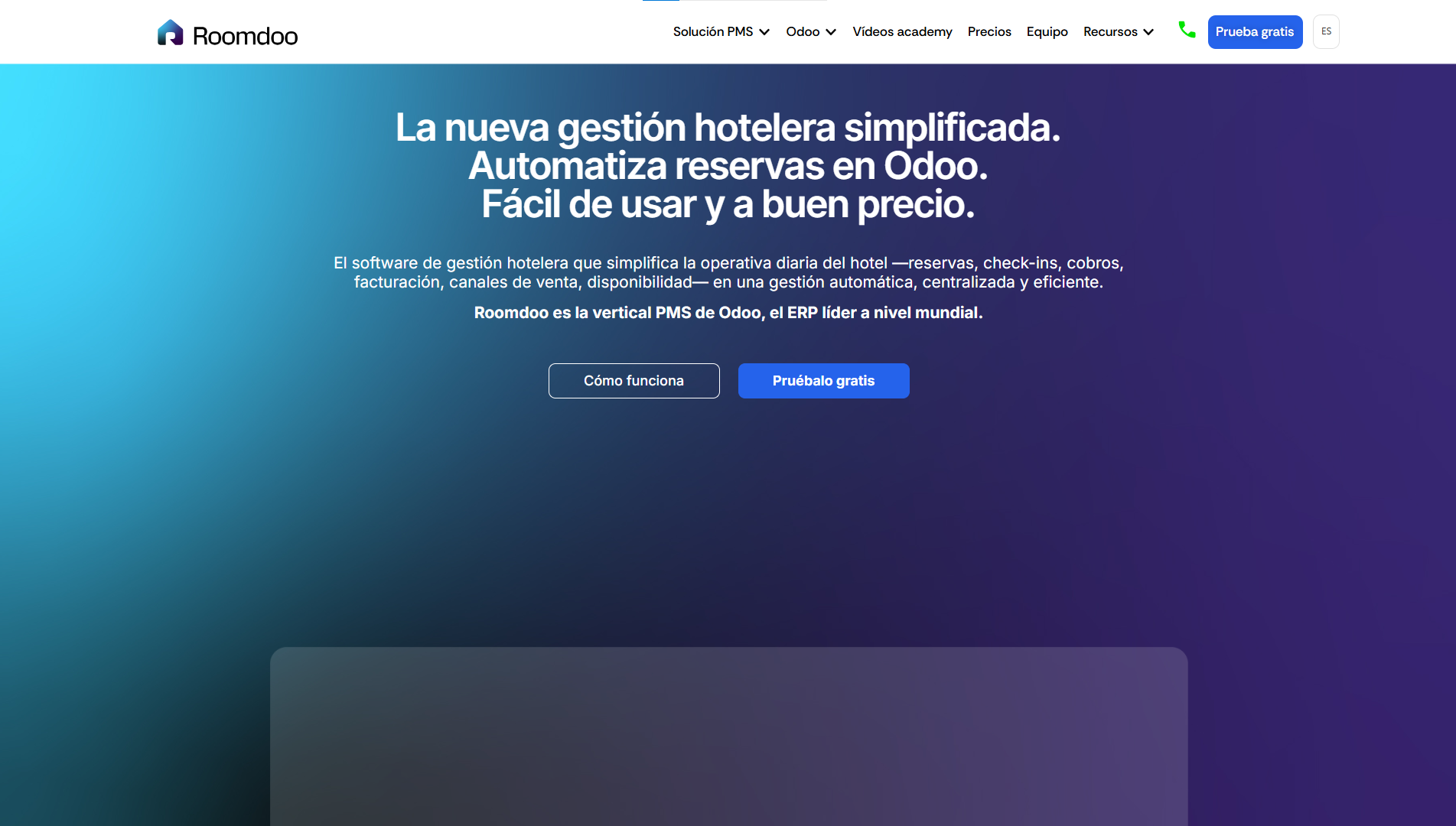 Página web de Roomdoo diseñada por Chillypills