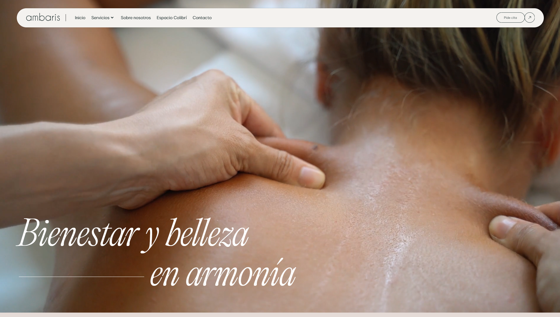 Página web de Ambaris diseñada por Chillypills
