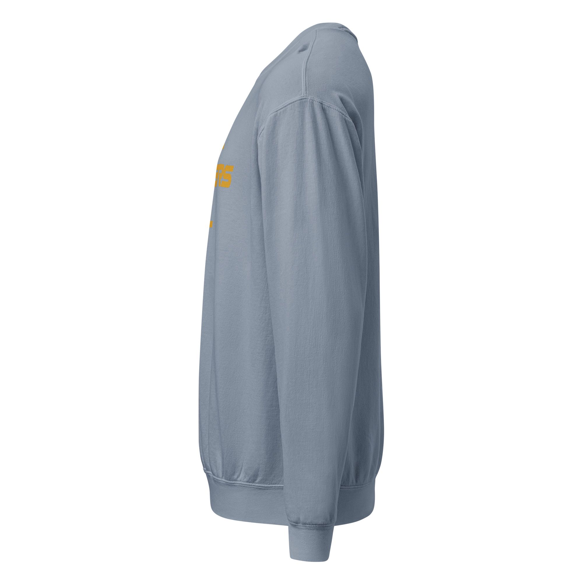 Unisex garment-dyed fleece crewneck sweatshirt 24