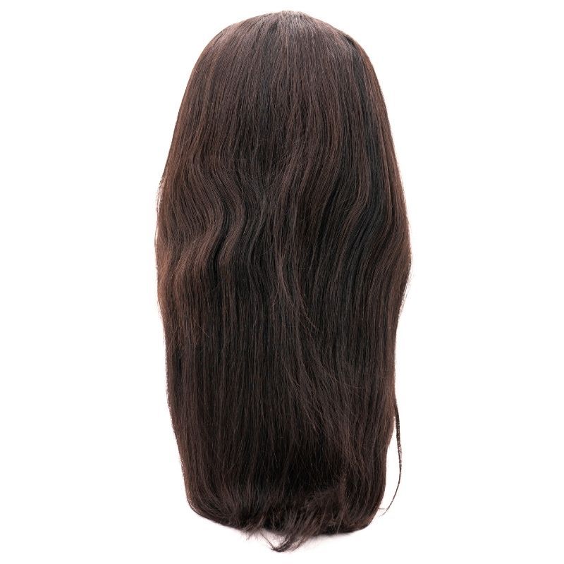 Straight Transparent Closure Wig 3