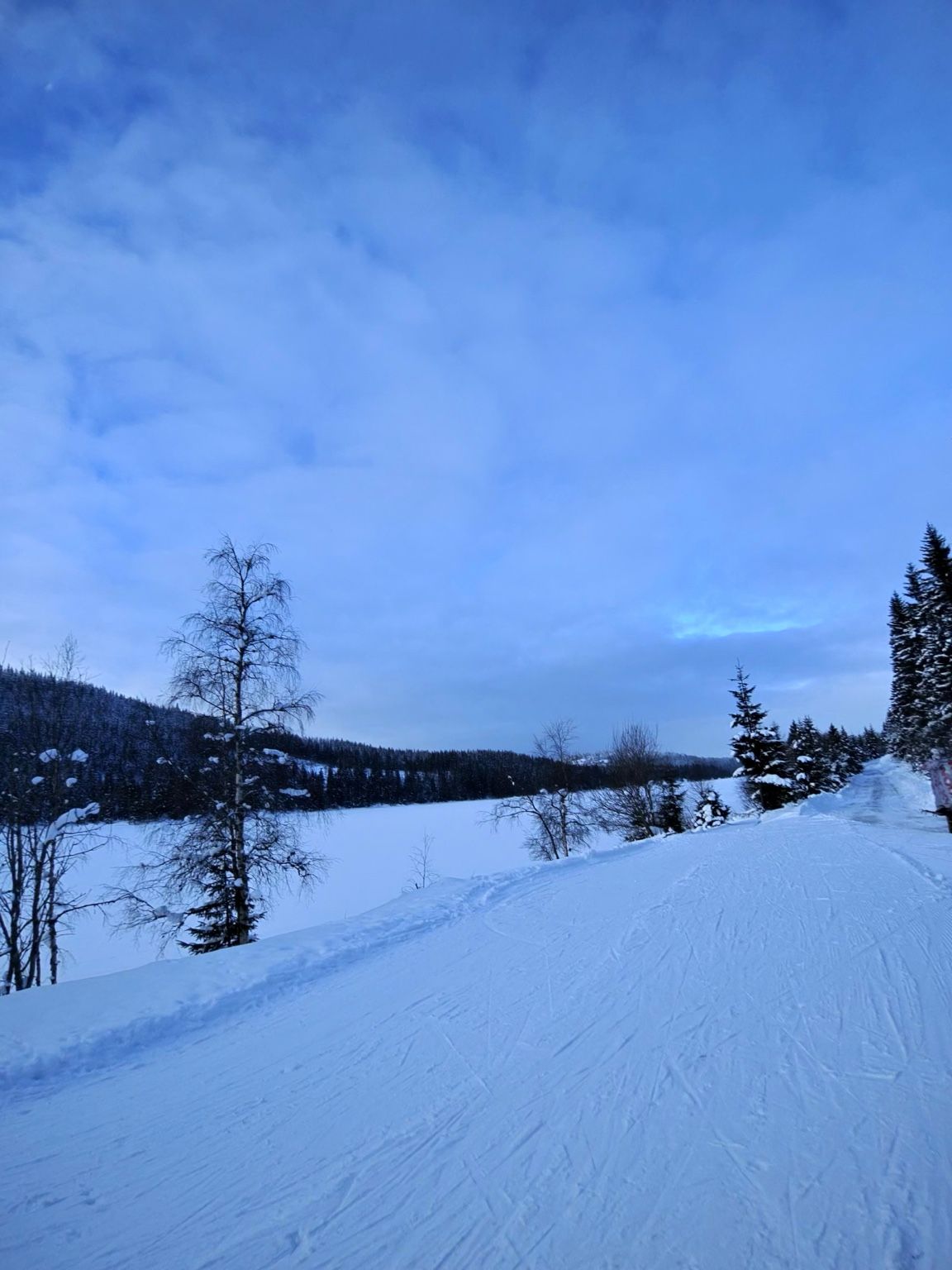 Visuell inspeksjon – bilde 2 (lokasjon Heggelivann)