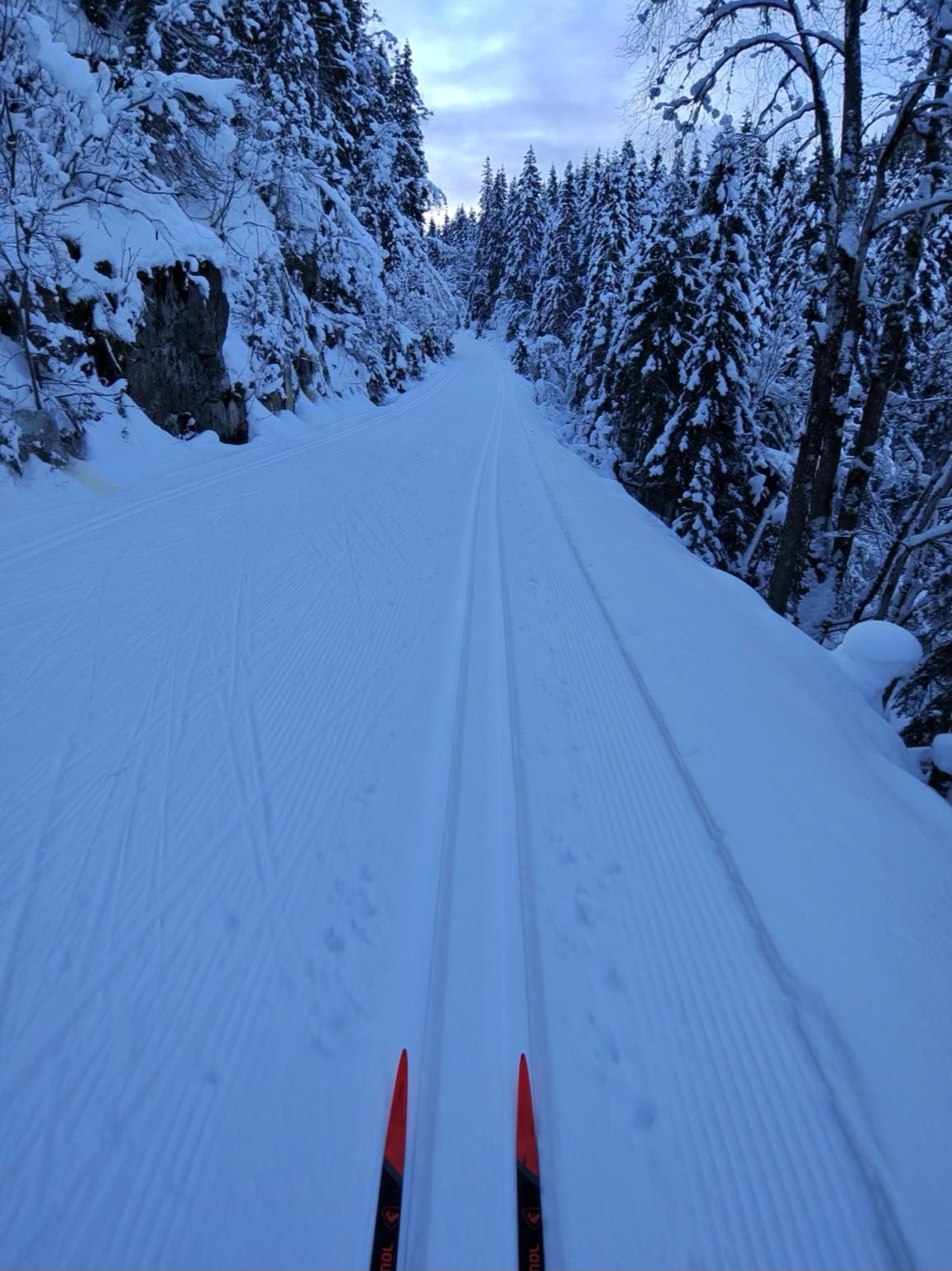 Visuell inspeksjon – bilde 3 (lokasjon Heggelivann)