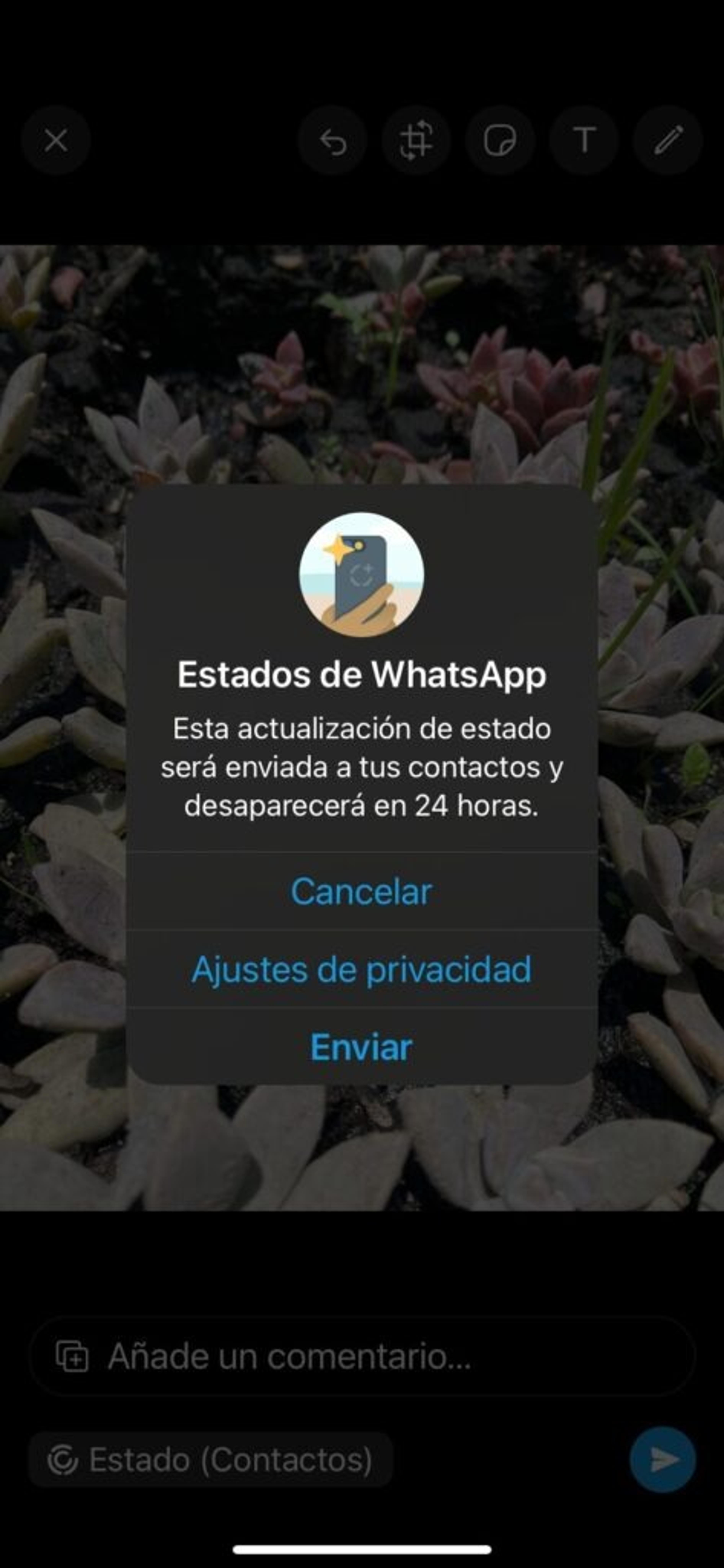 Pantalla de WhatsApp Business mostrando diálogo de confirmación de