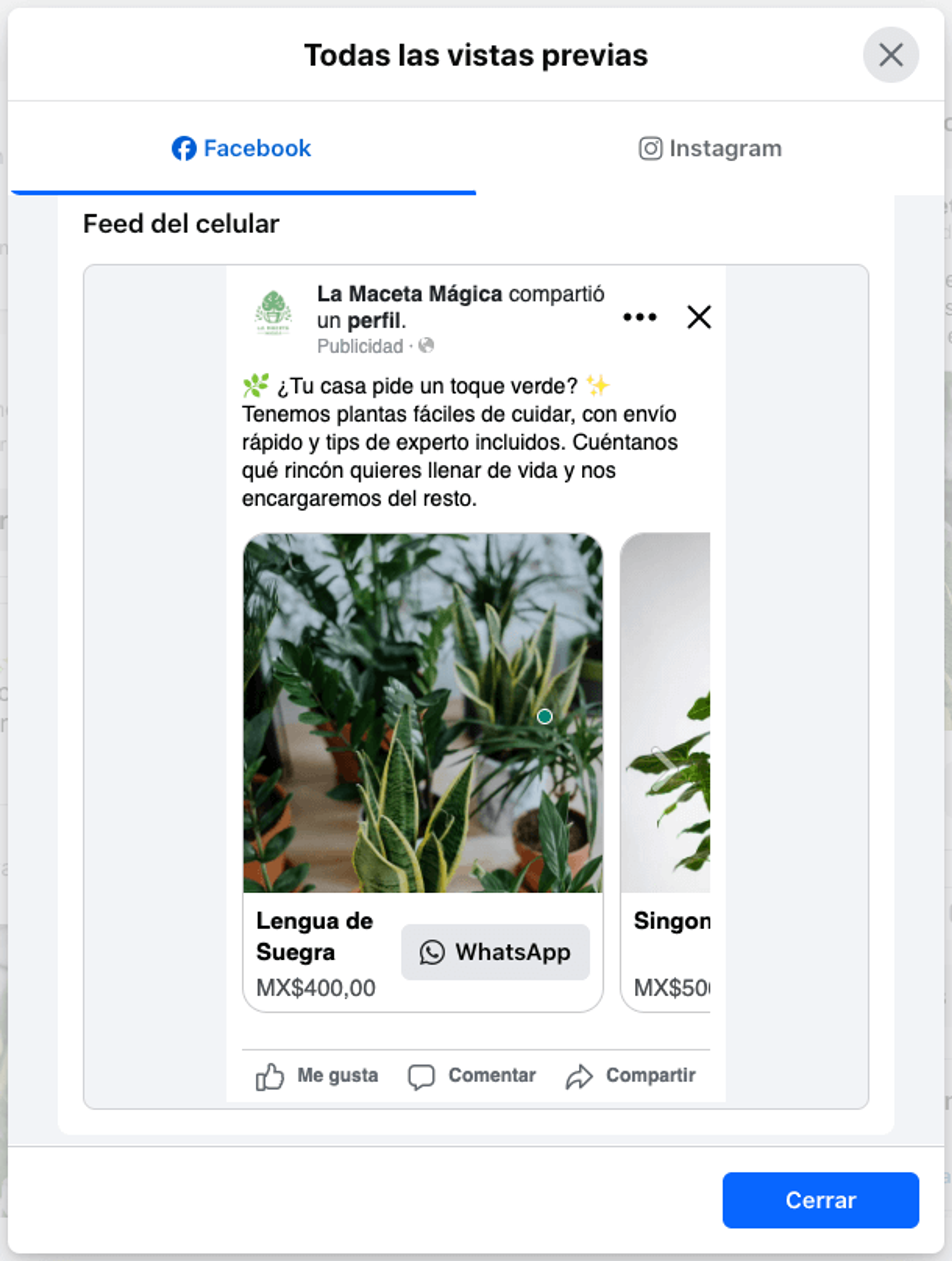 Captura de pantalla del noveno paso para configurar un anuncio con CTA a WhatsApp: publica tu anuncio
