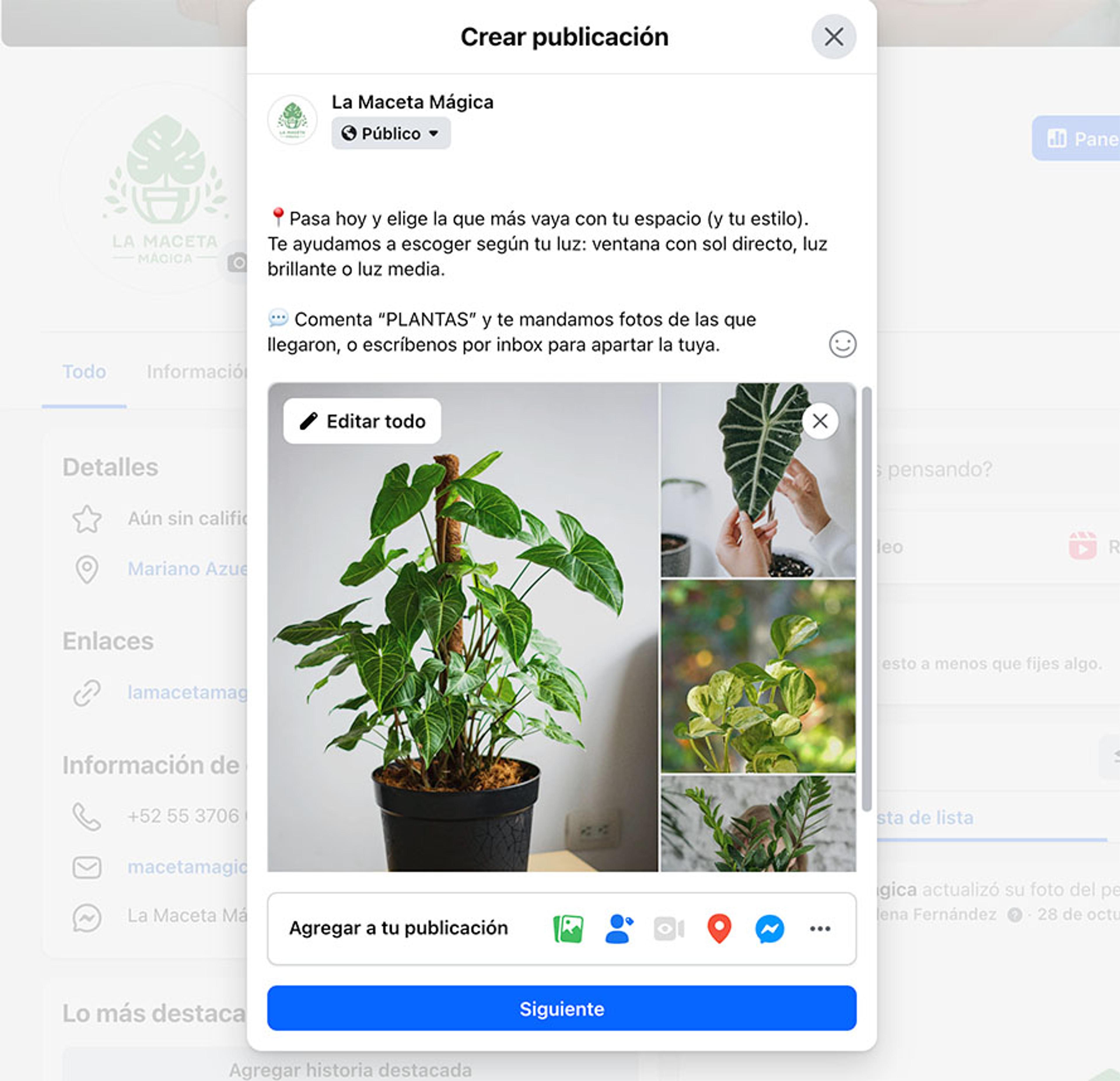 Ilustración del artículo: Cómo poner botón de WhatsApp en publicaciones de Facebook (Guía paso a paso)