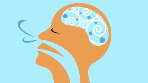 Ilustración del artículo: Tips de meditación para principiantes