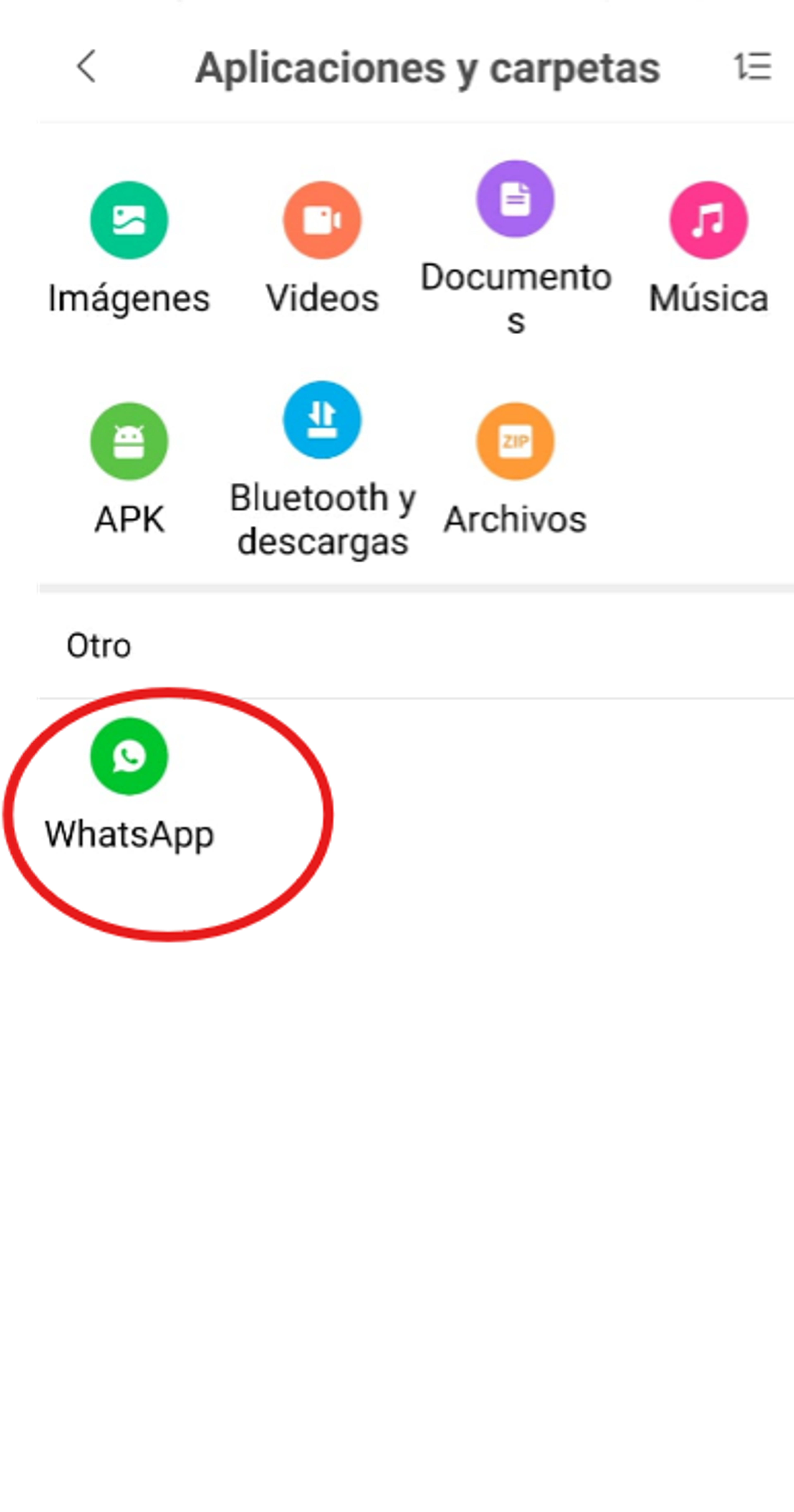 Vista del administrador de archivos de Android mostrando la carpeta de WhatsApp en la sección "Otro"