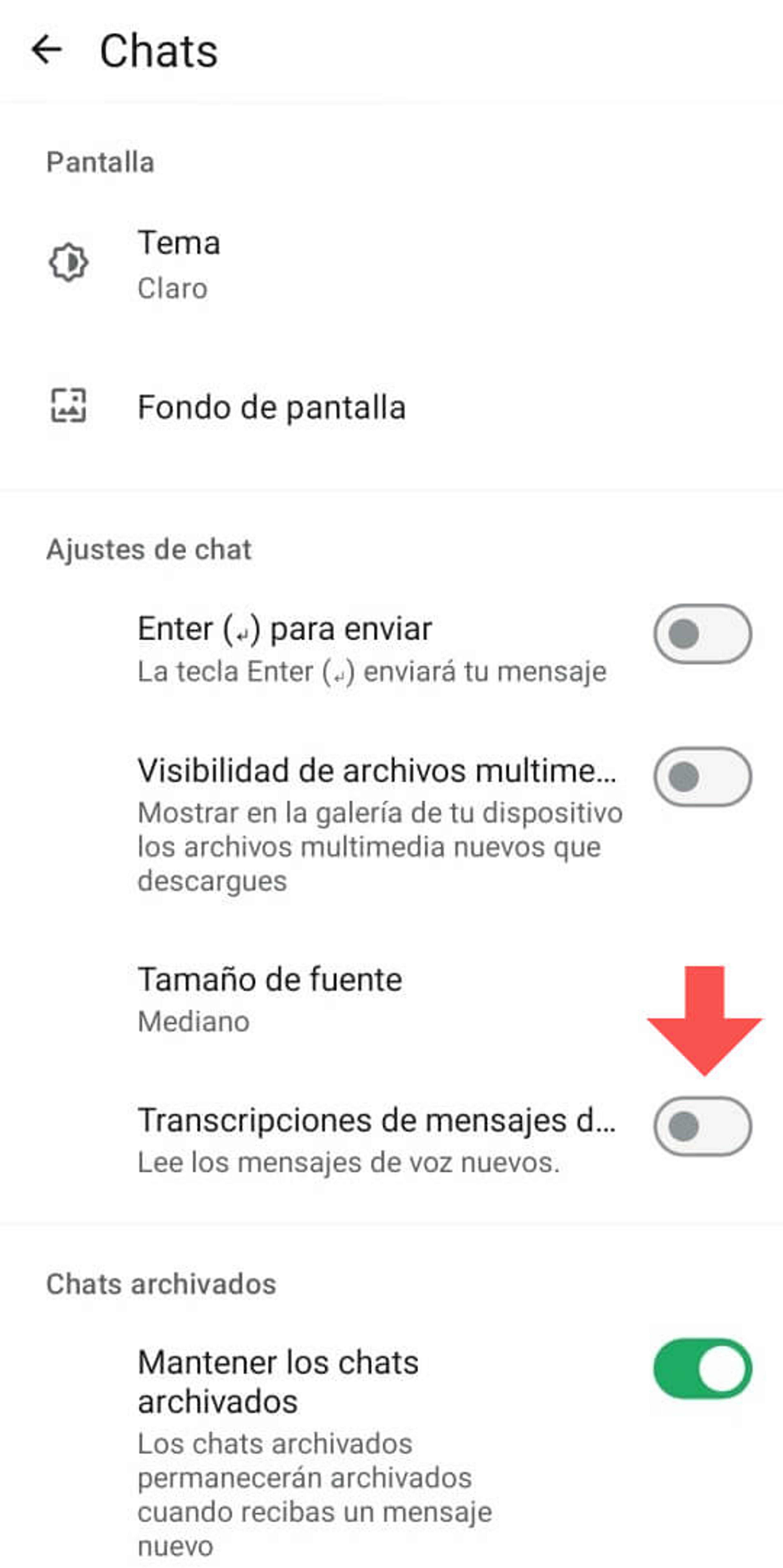 Ilustración del artículo: Cómo activar la transcripción de audio a texto en WhatsApp: nueva función disponible