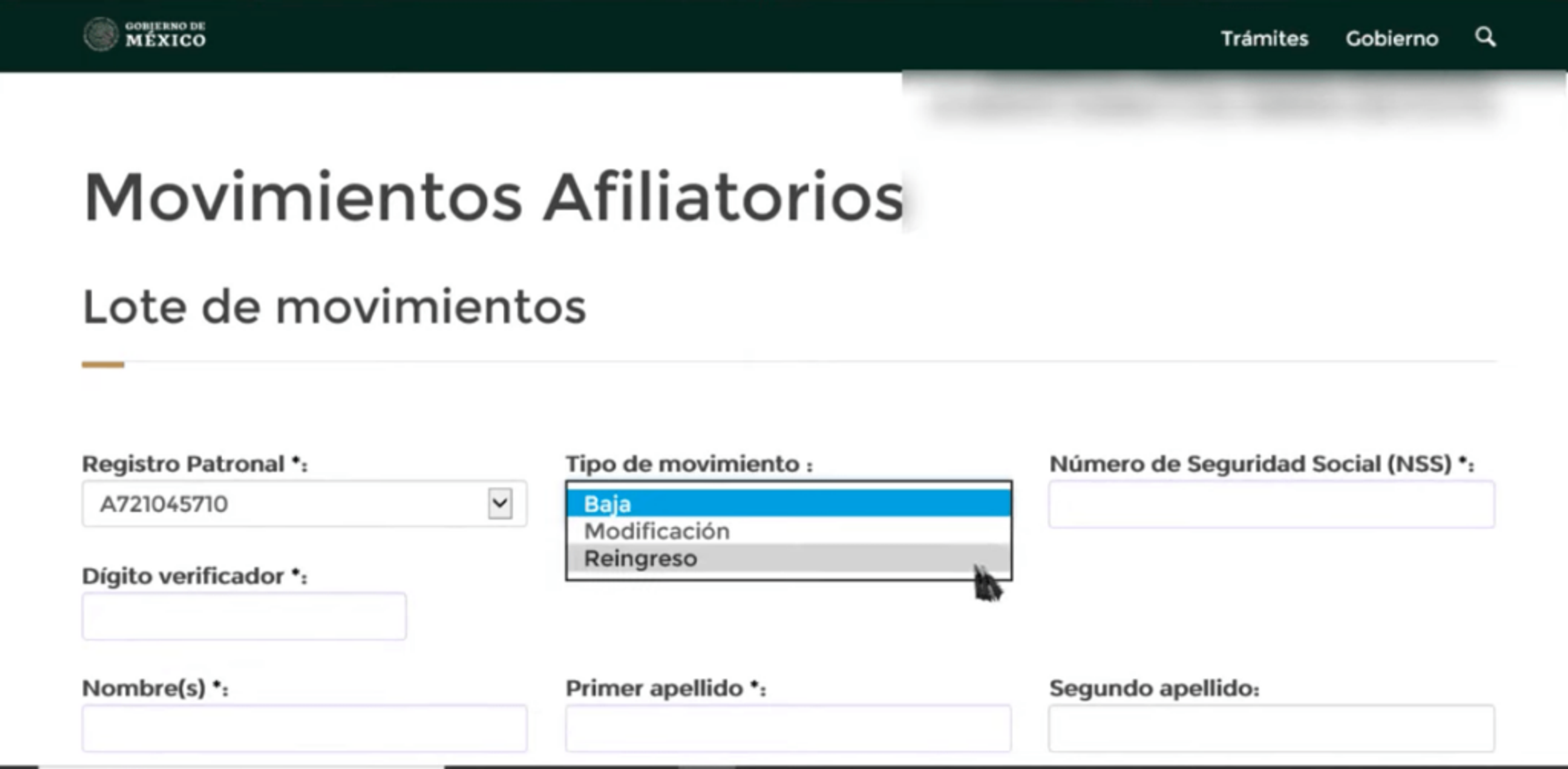 Ilustración del artículo: Cómo dar de alta a tus empleados en el IMSS