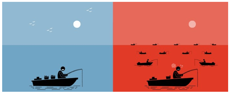Océano azul vs Océano rojo