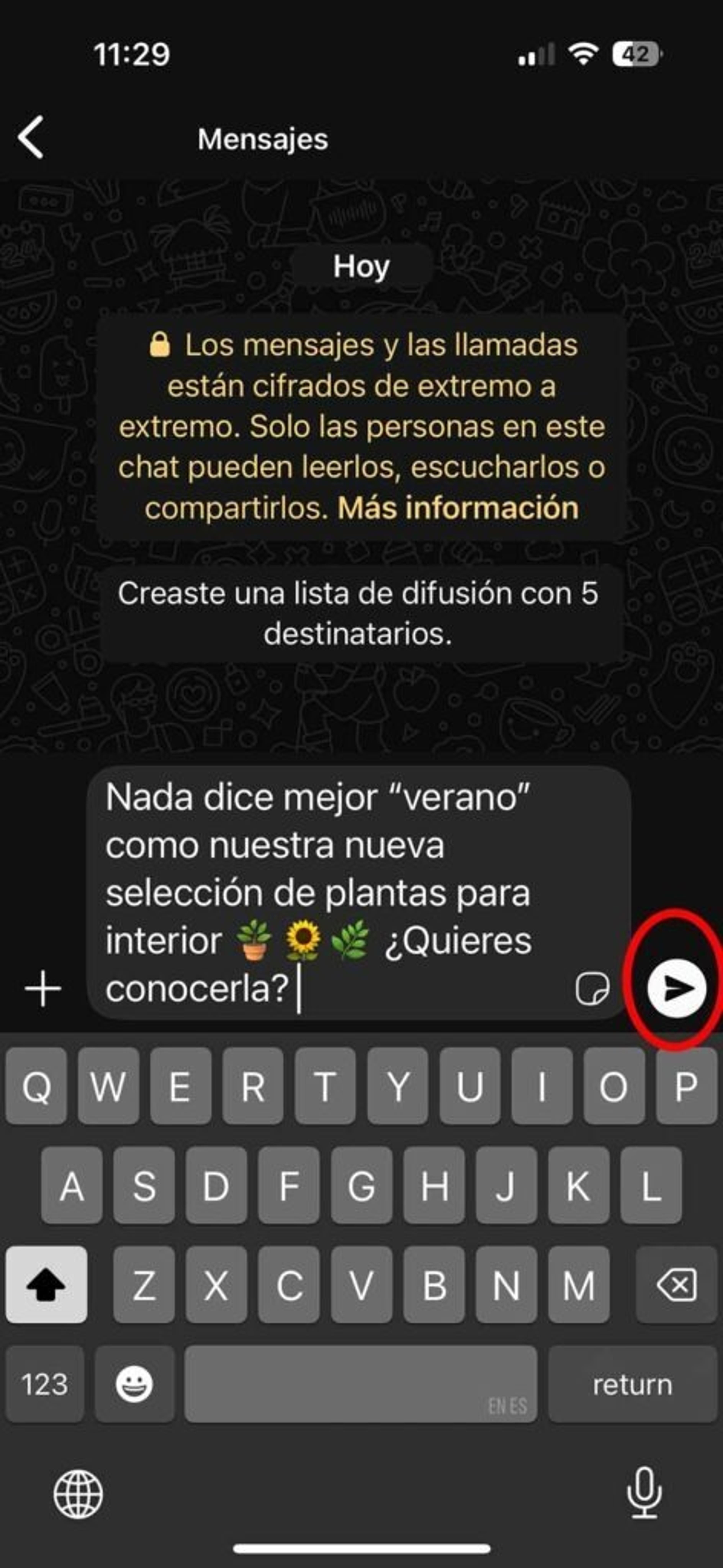 Captura de pantalla de la app WhatsApp Business mostrando cómo enviar mensajes masivos creando listas de difusión: escribir el mensaje