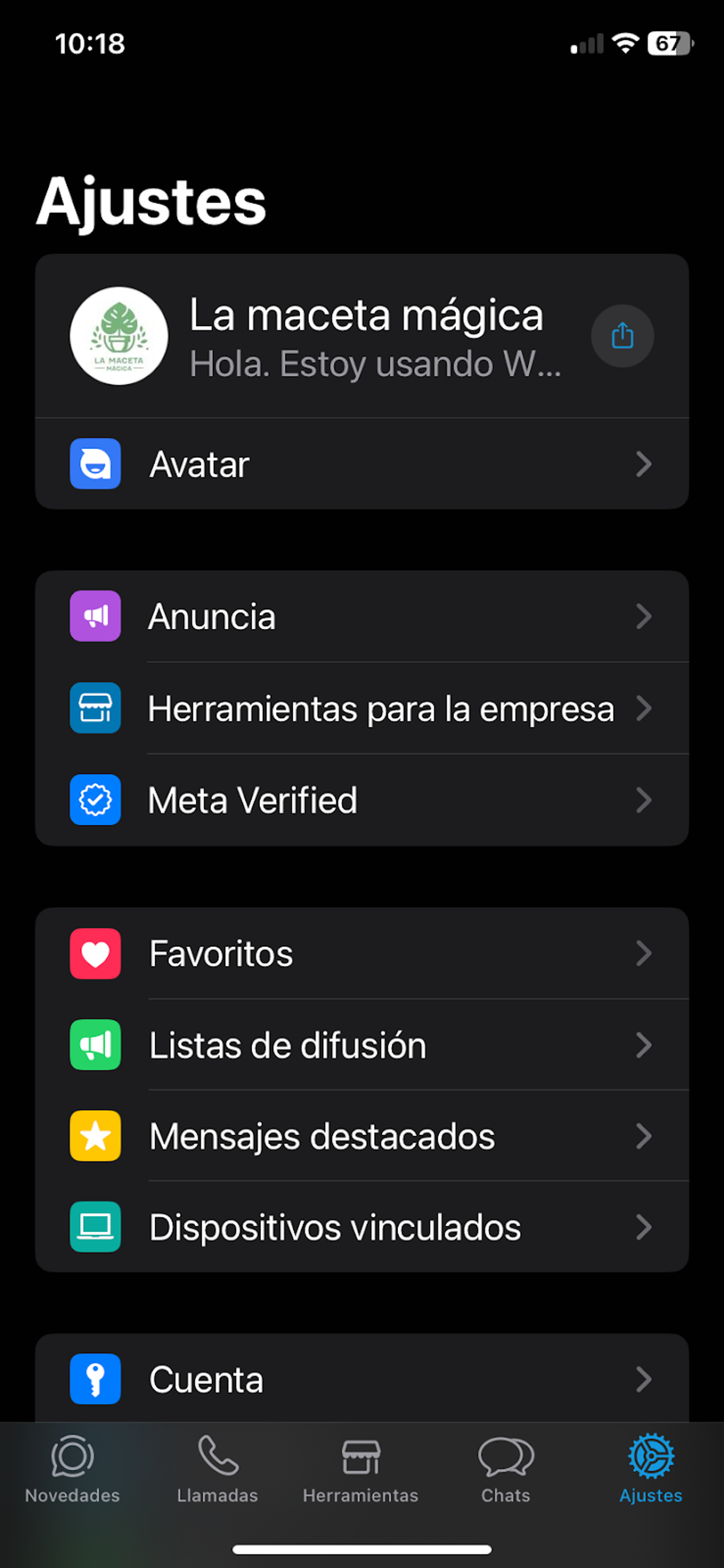 Captura de pantalla de la pantalla de Ajustes de WhatsApp Business.
