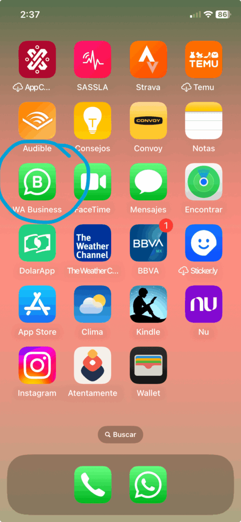 Ilustración del artículo: Consejos para administrar un grupo de WhatsApp Business exitosamente