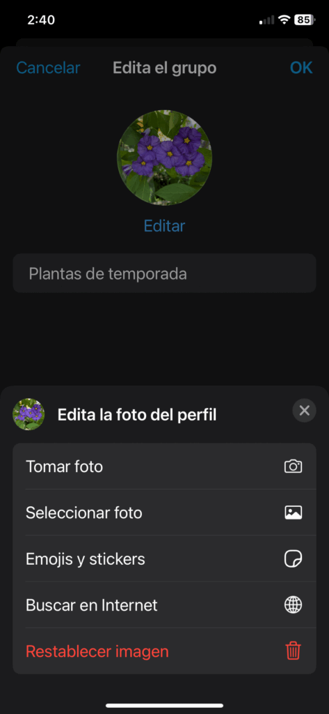 Ilustración del artículo: Consejos para administrar un grupo de WhatsApp Business exitosamente
