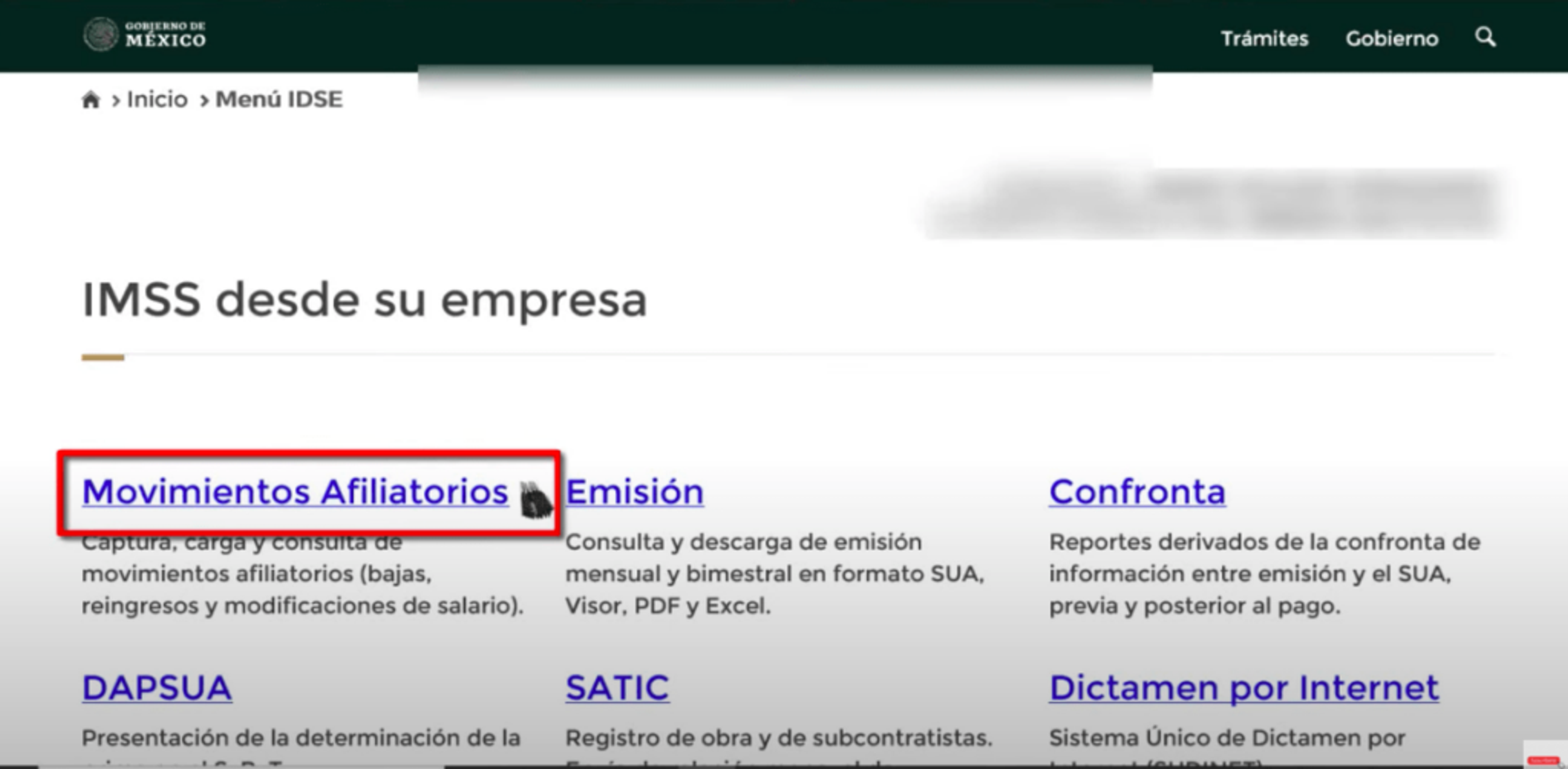 Ilustración del artículo: Cómo dar de alta a tus empleados en el IMSS