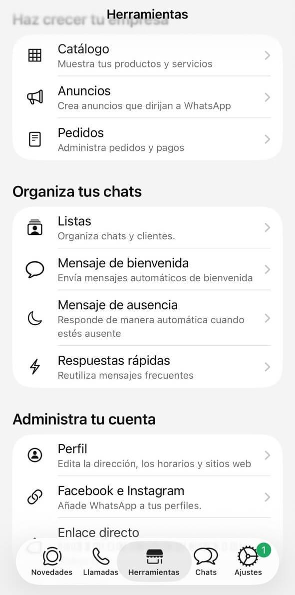 Pantalla de herramientas de WhatsApp Business para crear una lista o etiqueta