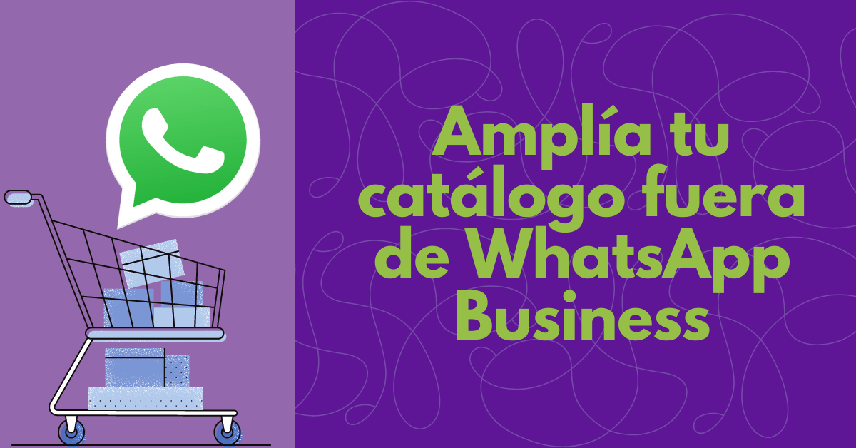 Portada del artículo: Amplía tu catálogo fuera de WhatsApp Business