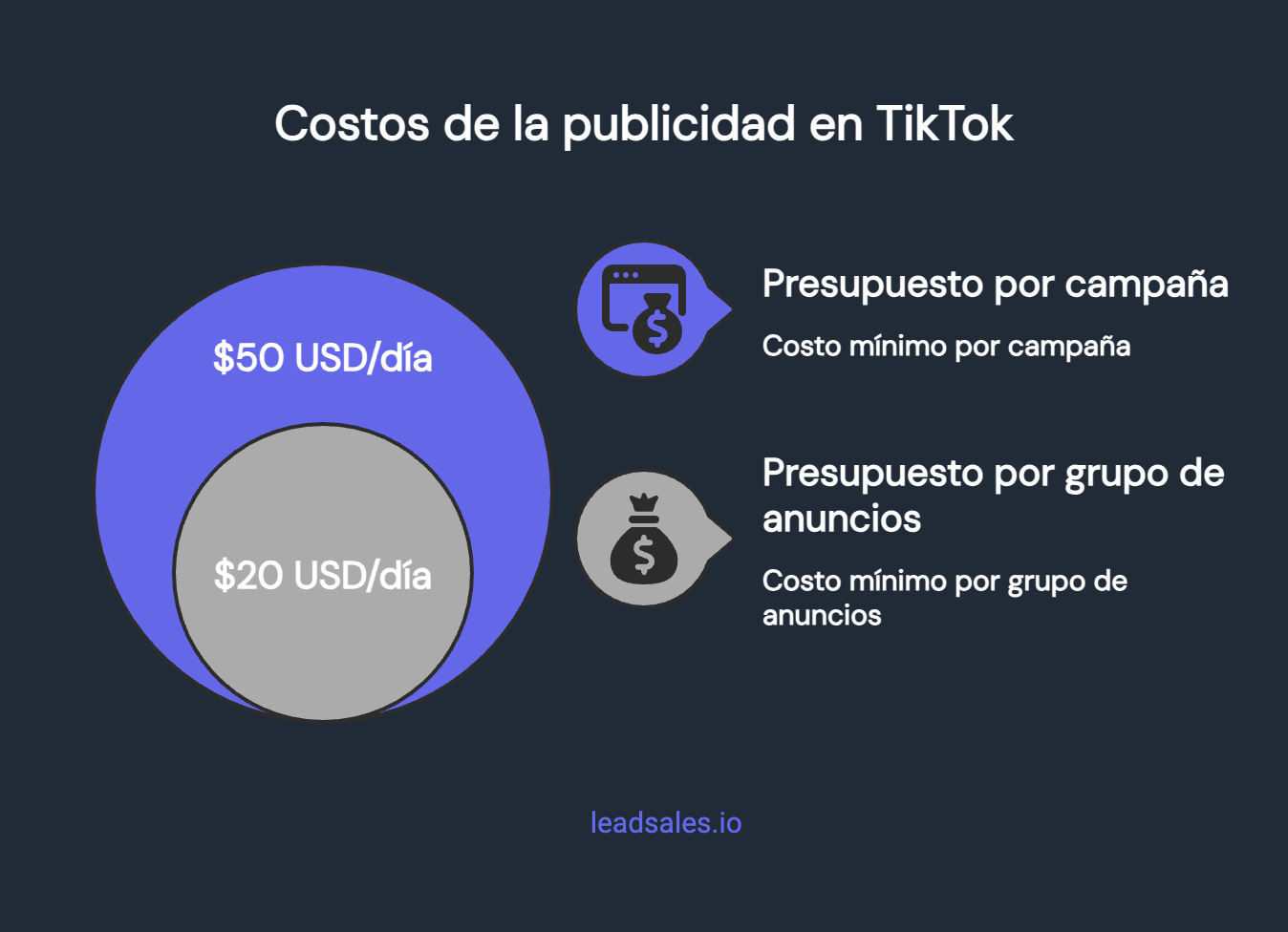 Ilustración del artículo: ¿Cómo pagar publicidad en TikTok? Guía completa para comenzar