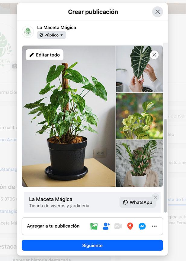 Ilustración del artículo: Cómo poner botón de WhatsApp en publicaciones de Facebook (Guía paso a paso)
