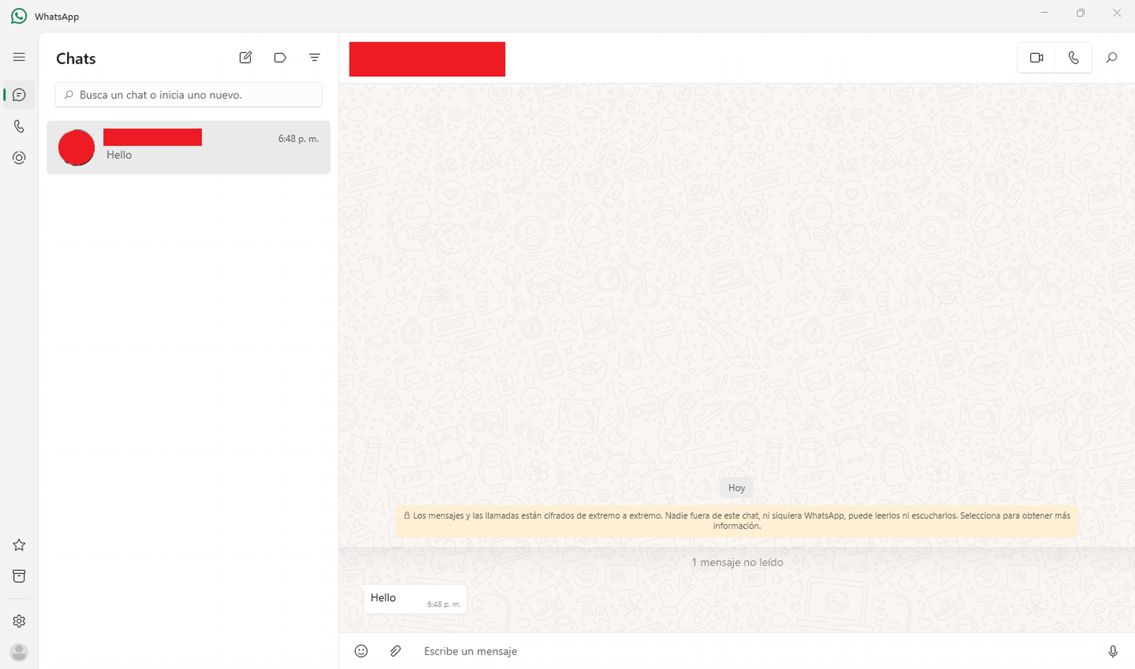 Pantalla de chat de WhatsApp Business Web