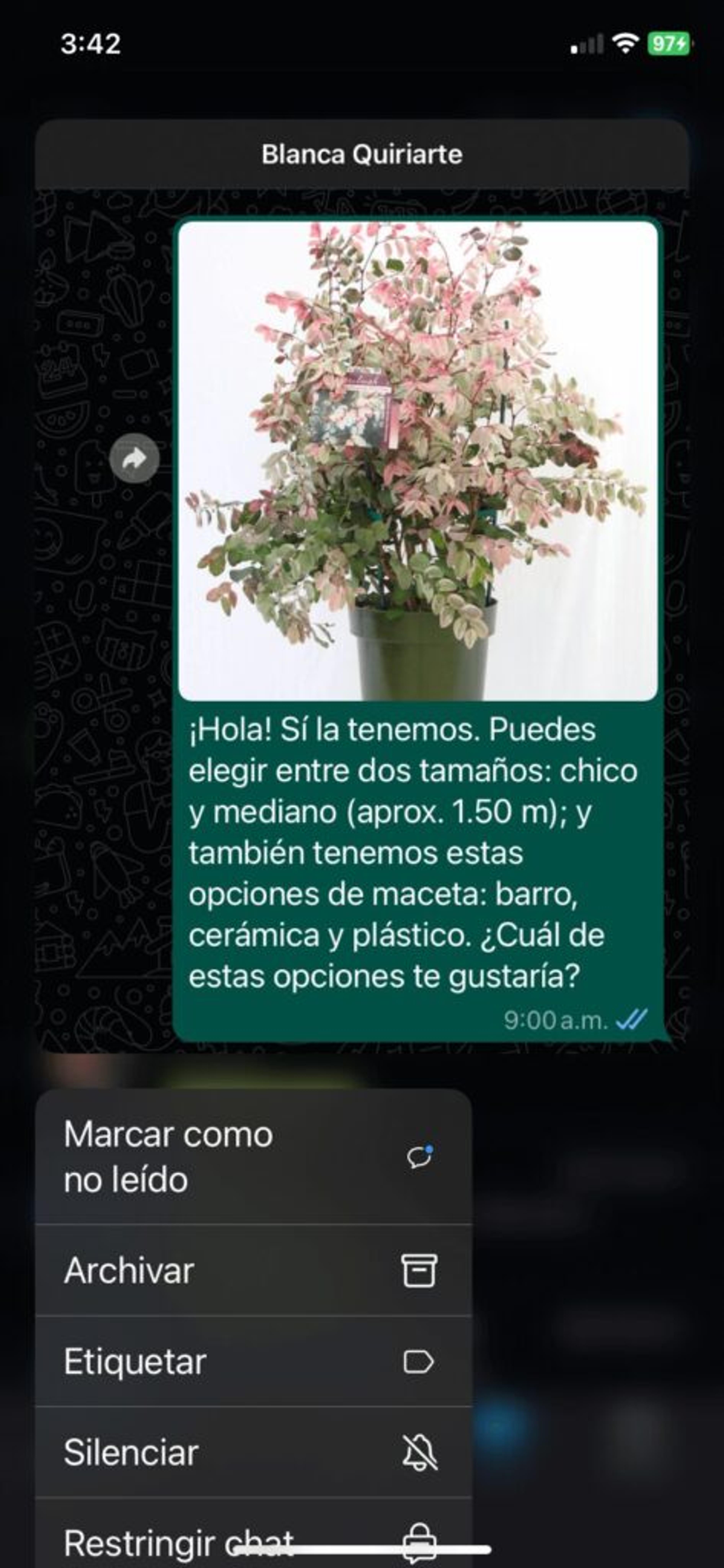 Pantalla para elegir etiqueta en WhatsApp Business