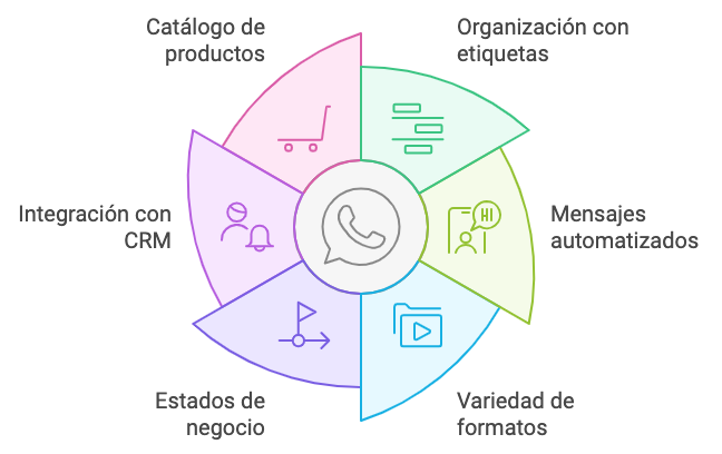 Ilustración del artículo: 5 funciones de WhatsApp Business para tu negocio