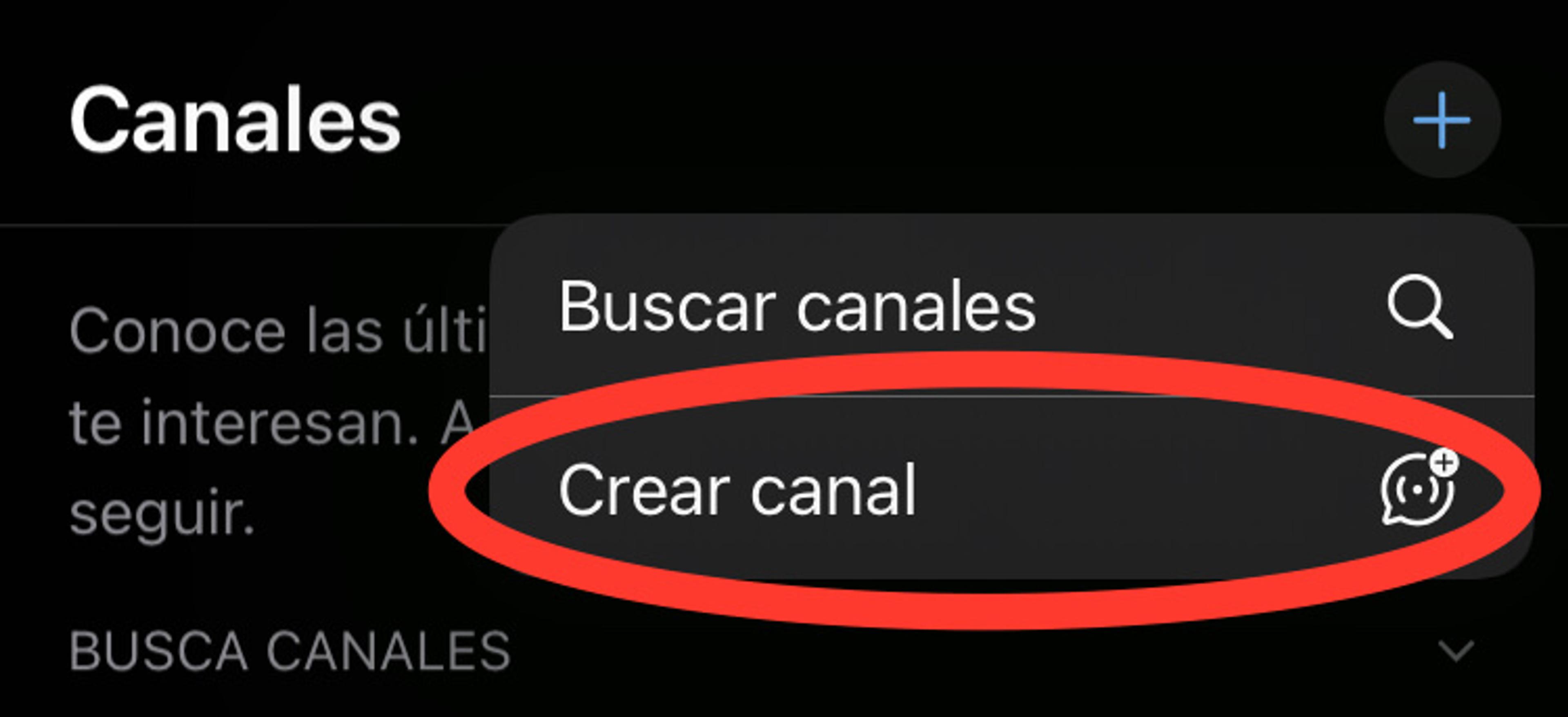 Ilustración del artículo: Aprende cómo crear un canal en WhatsApp Business sin complicaciones