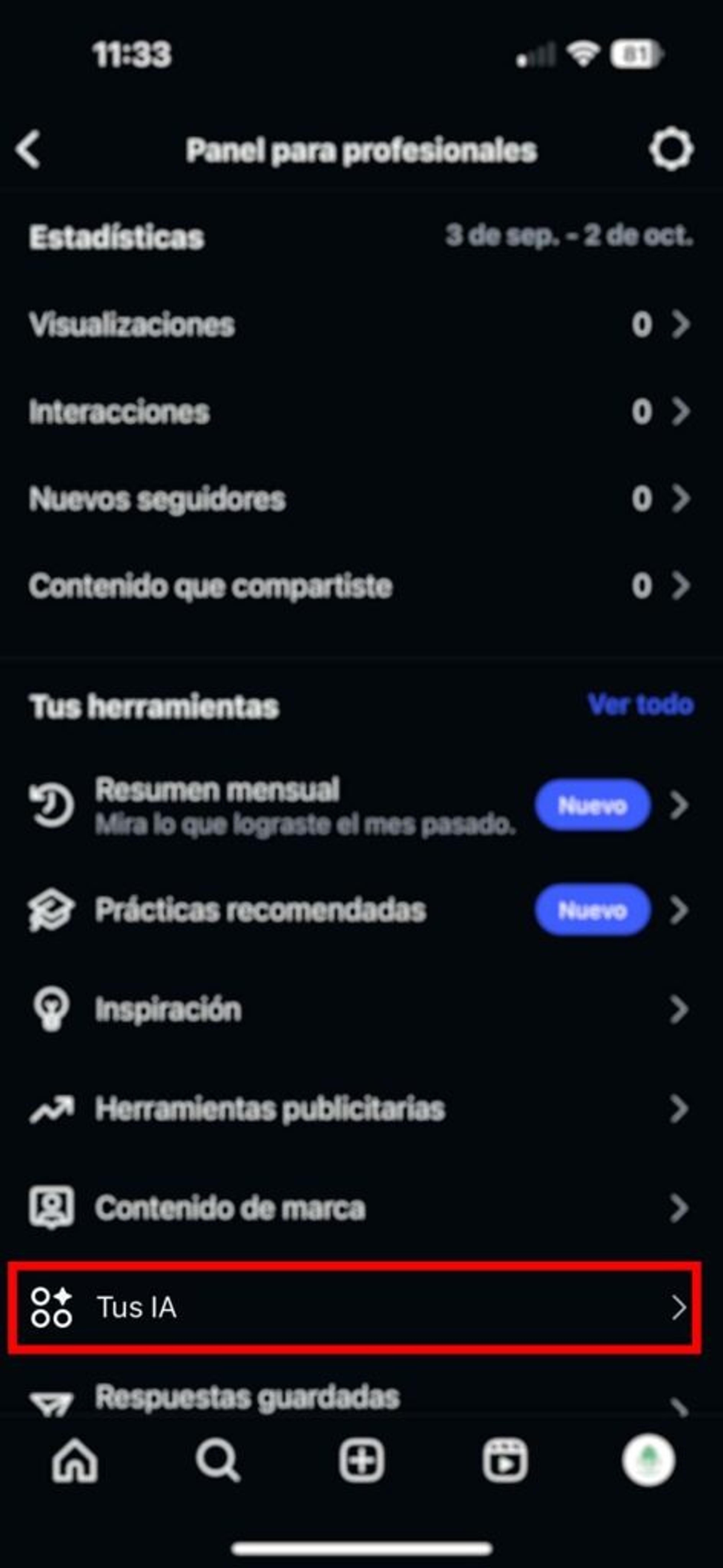 Captura de pantalla del Panel para profesionales de Instagram con la opción
