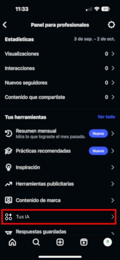 Captura de pantalla del Panel para profesionales de Instagram con la opción