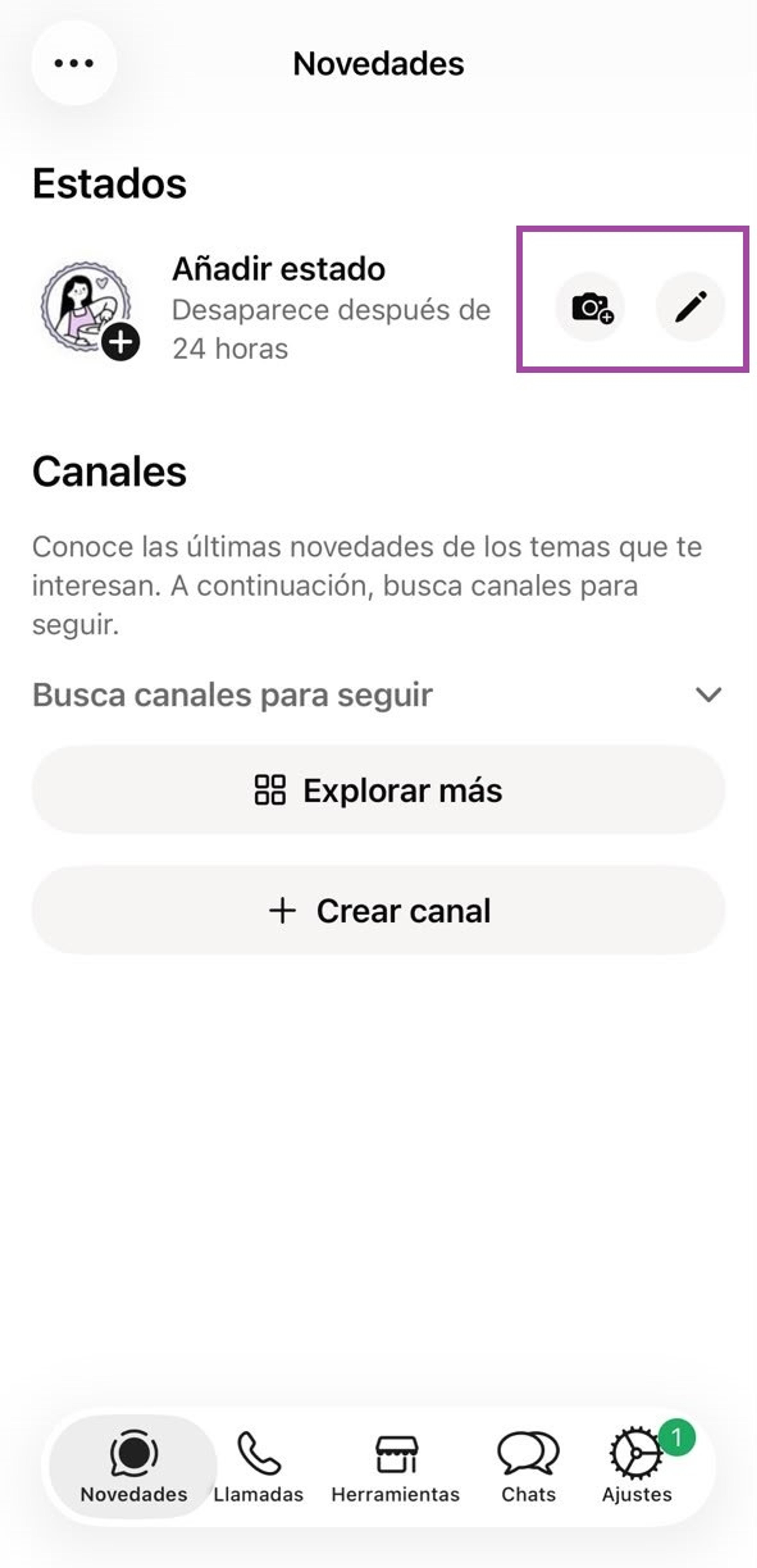 Pestaña Novedades de WhatsApp Business con los íconos de cámara y lápiz resaltados para crear un nuevo estado