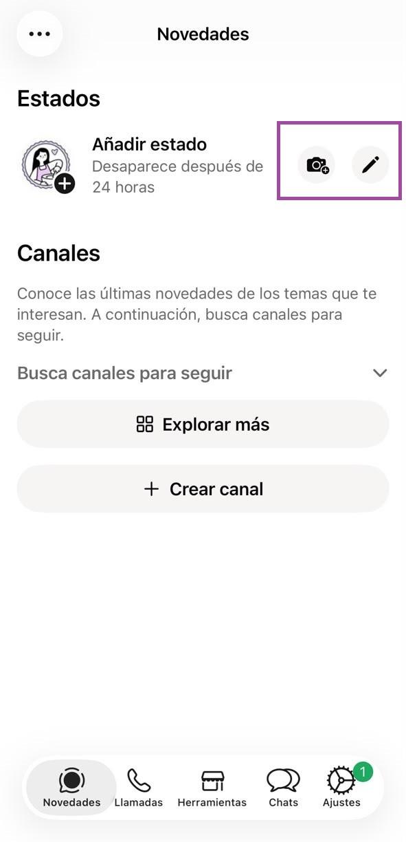 Pestaña Novedades de WhatsApp Business con los íconos de cámara y lápiz resaltados para crear un nuevo estado