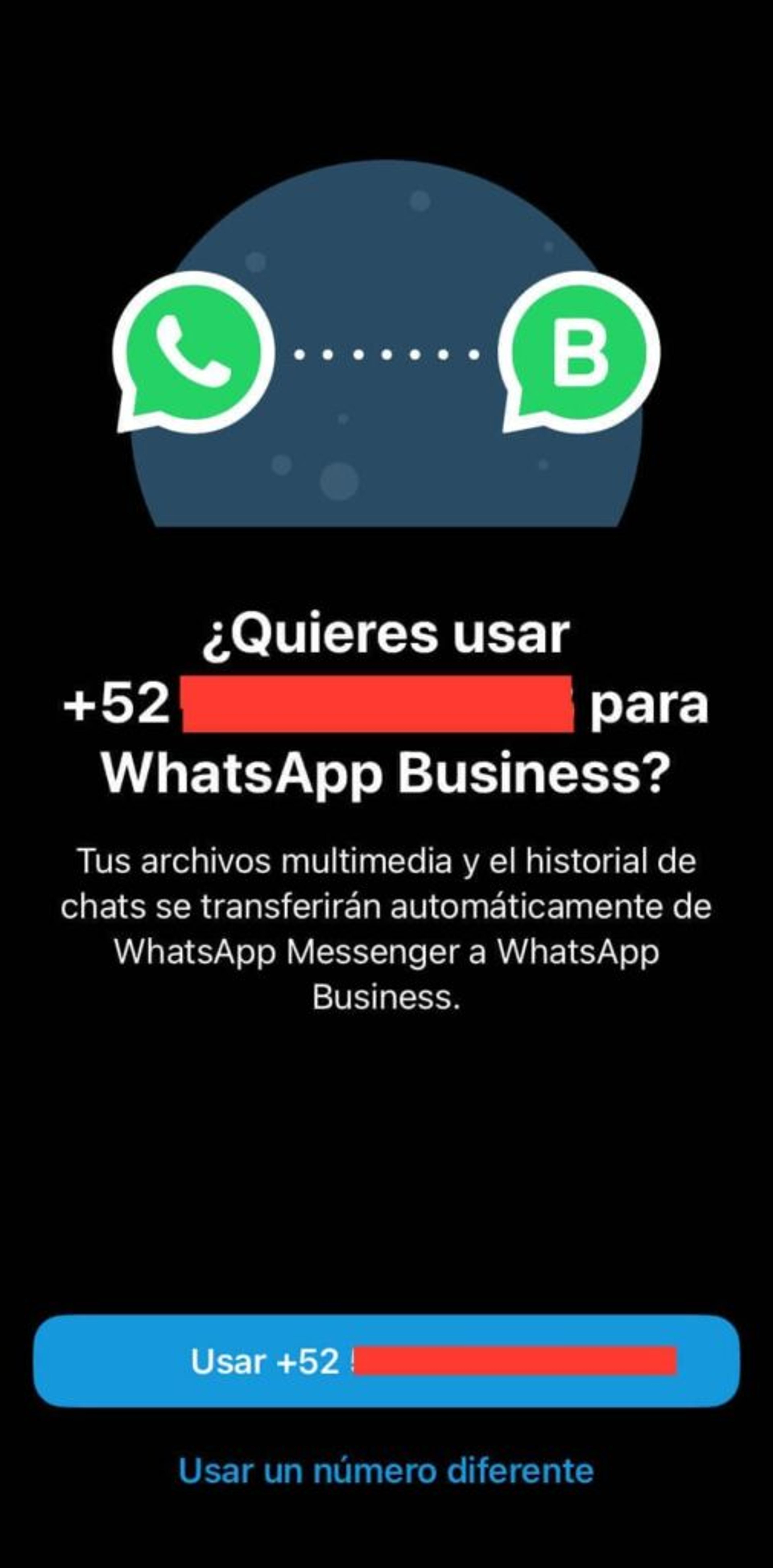 Ilustración del artículo: ¿Cómo funciona WhatsApp Business?