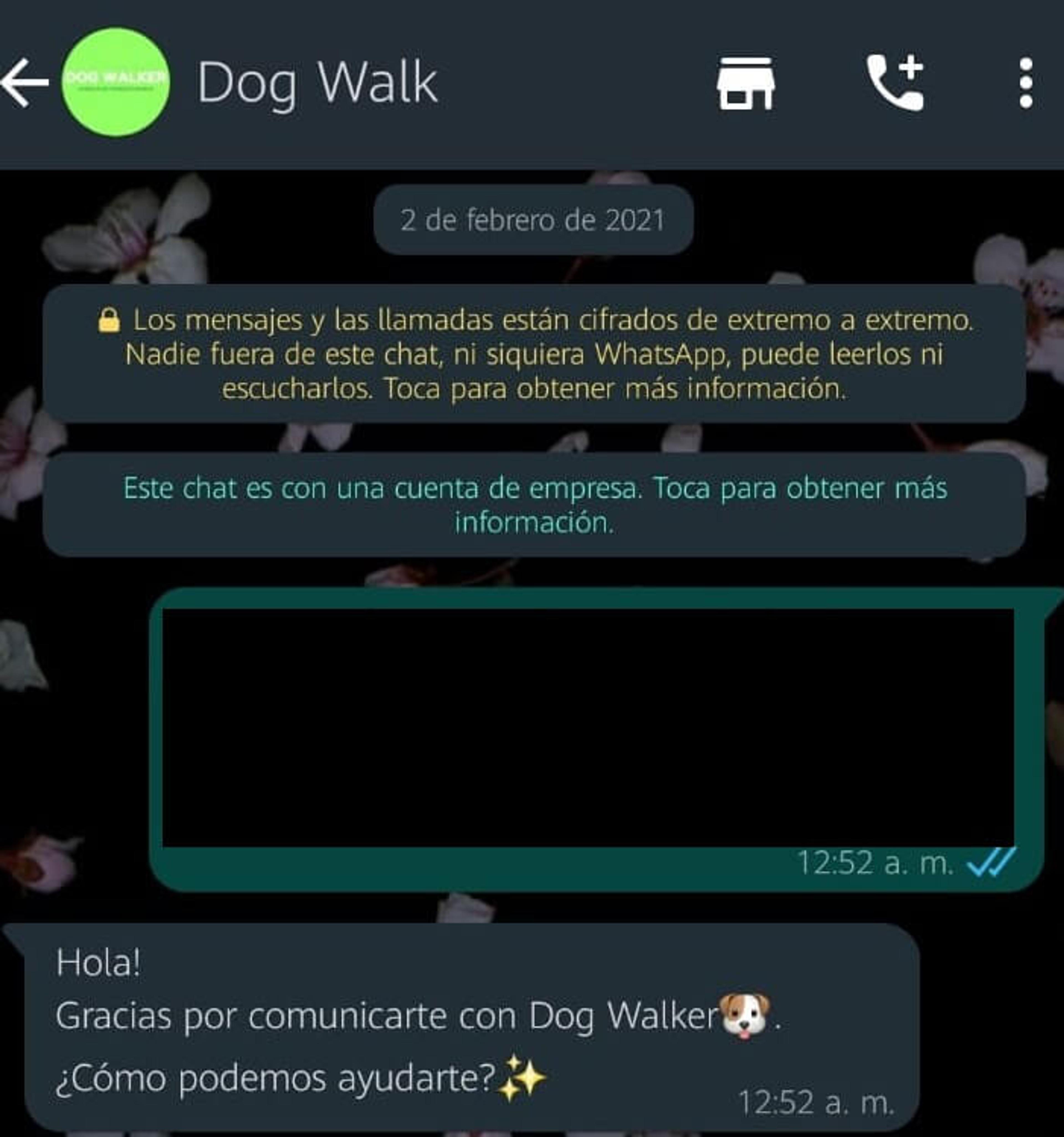 Ilustración del artículo: ¿Por qué los chatbots son una nueva oportunidad?