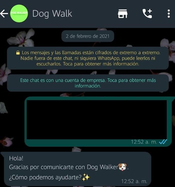 Ilustración del artículo: ¿Por qué los chatbots son una nueva oportunidad?