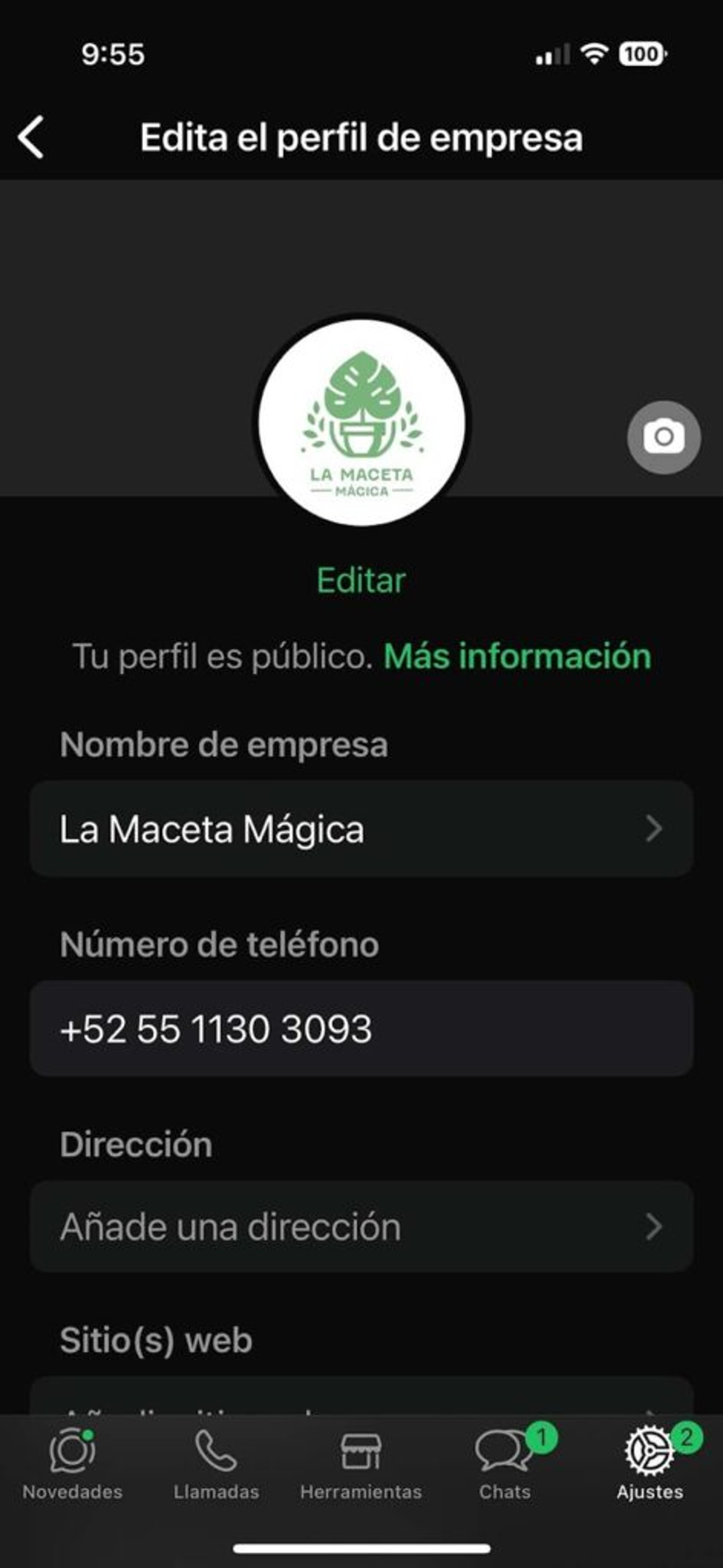 Ilustración del artículo: ¿Cómo funciona WhatsApp Business?