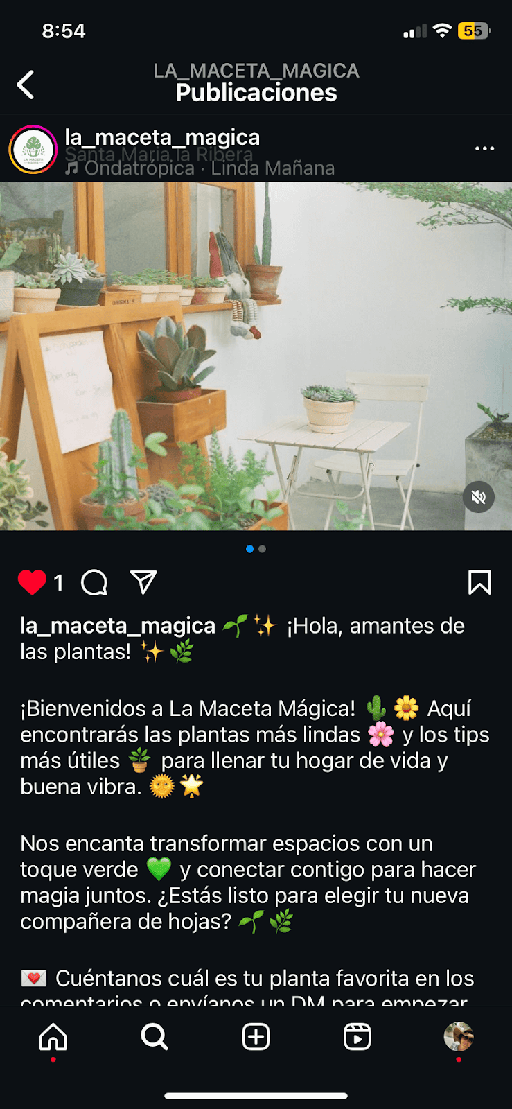 Ilustración del artículo: Tutorial completo para crear una página de ventas en Instagram
