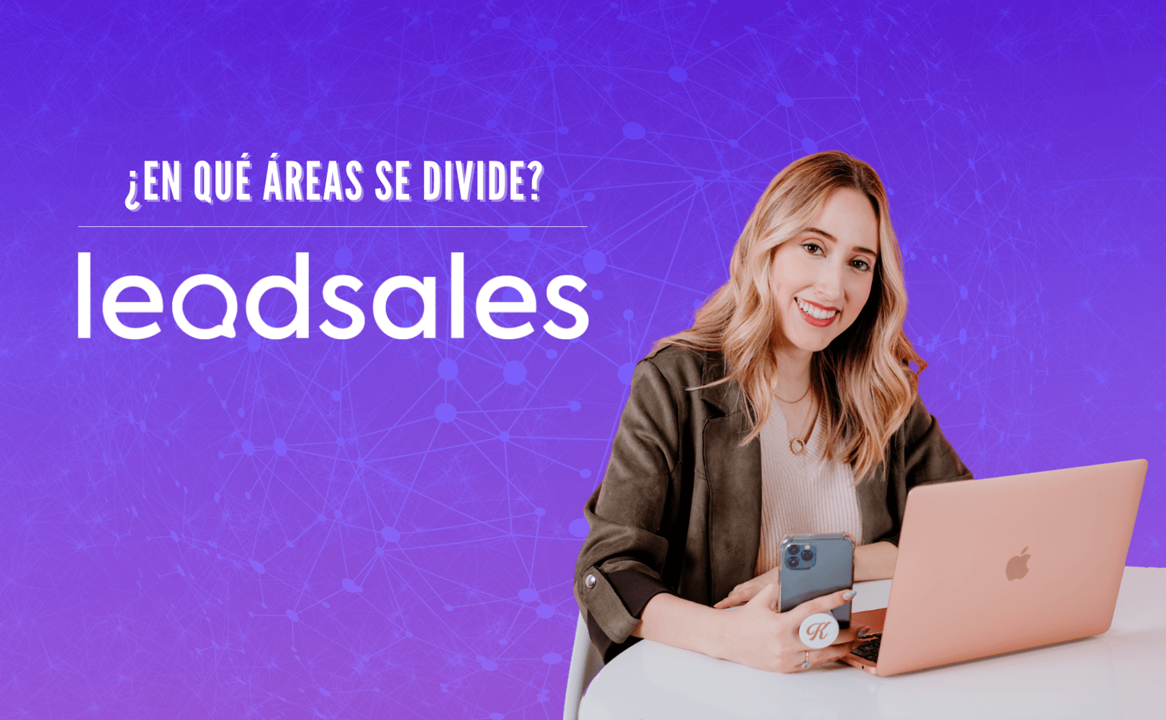 Portada del artículo: ¿En qué áreas se divide Leadsales?