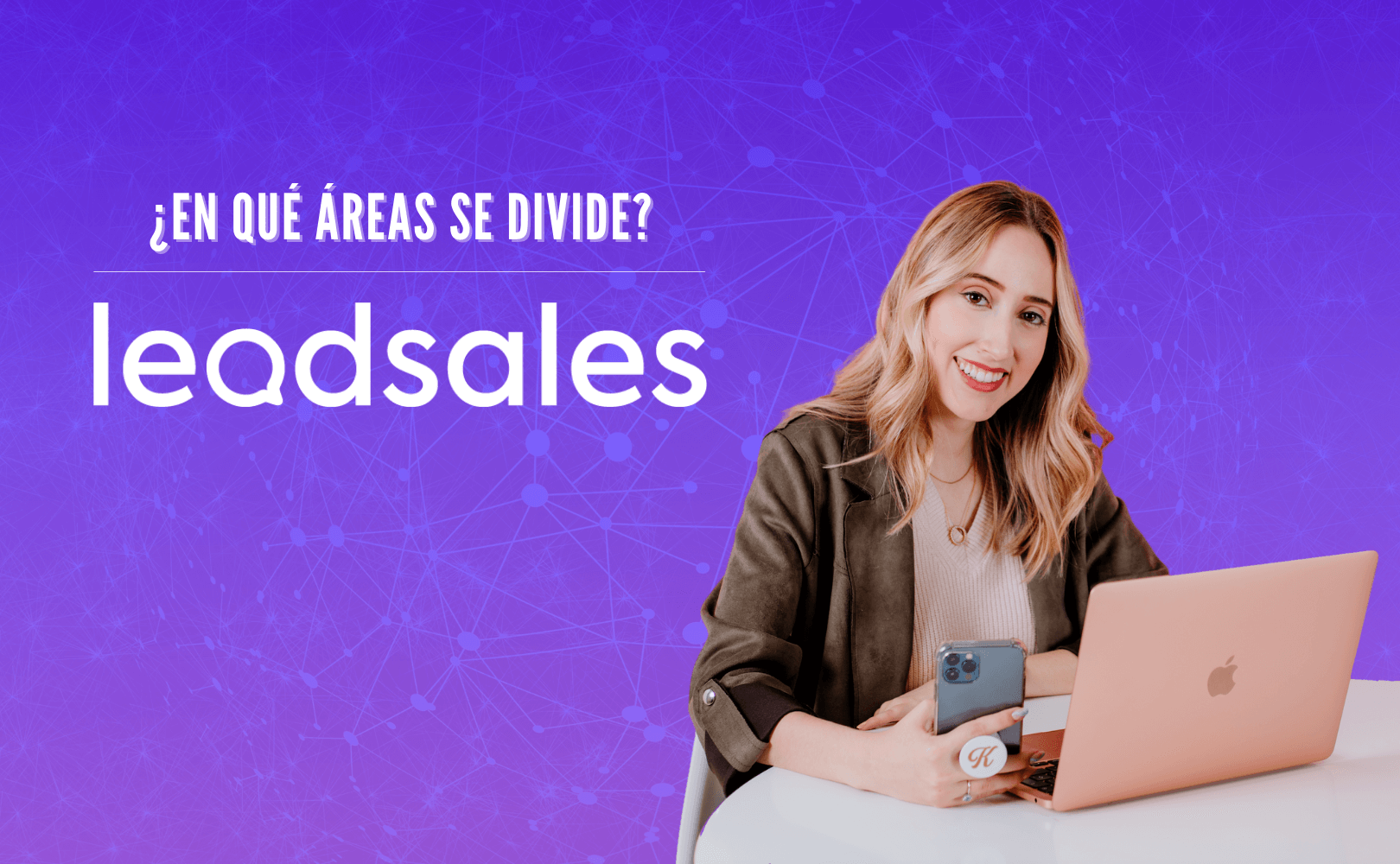Portada del artículo: ¿En qué áreas se divide Leadsales?