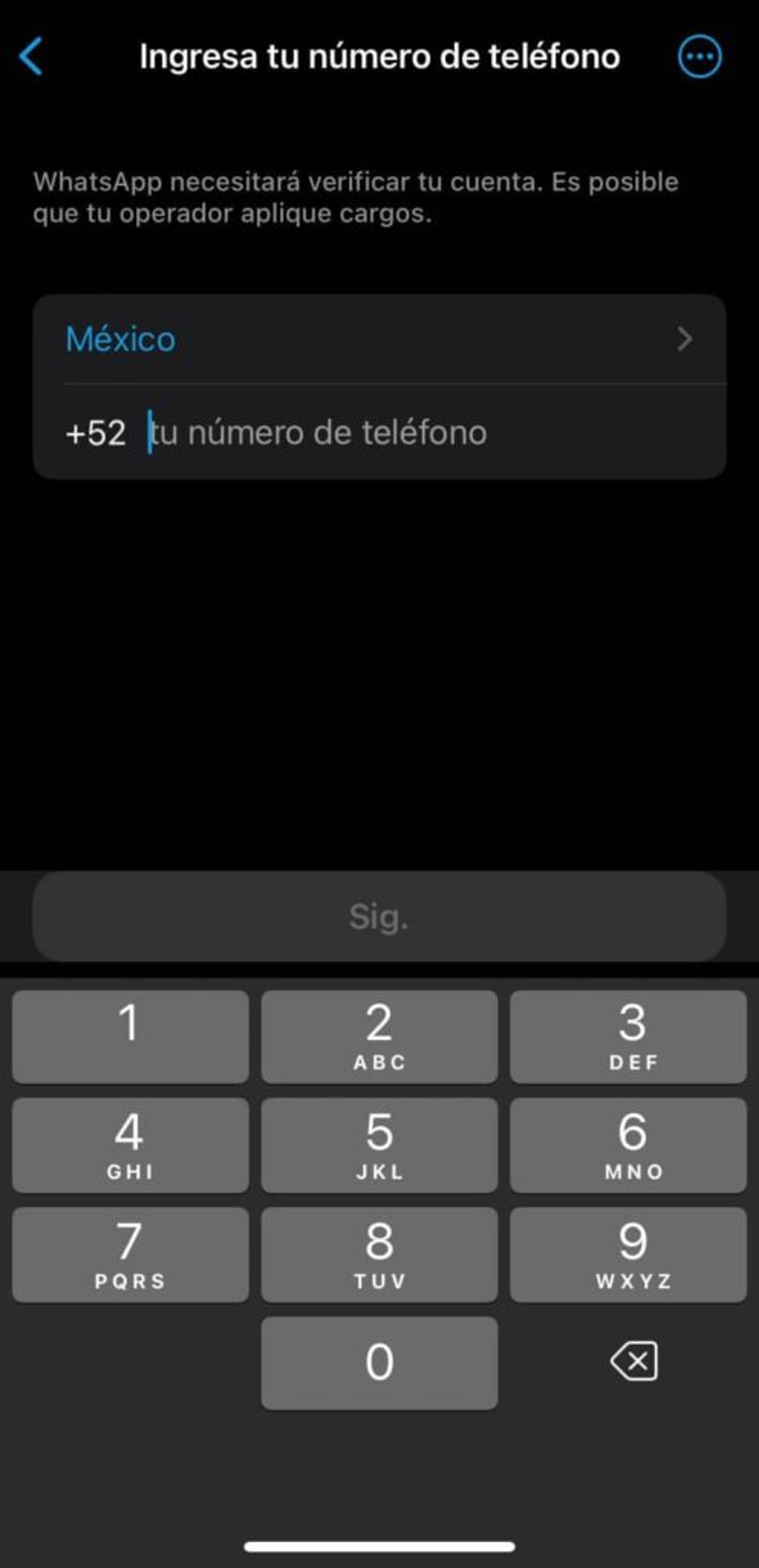 Ilustración del artículo: ¿Cómo funciona WhatsApp Business?