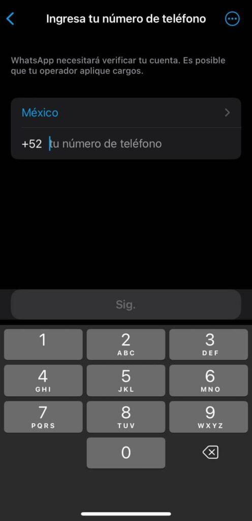 Ilustración del artículo: ¿Cómo funciona WhatsApp Business?