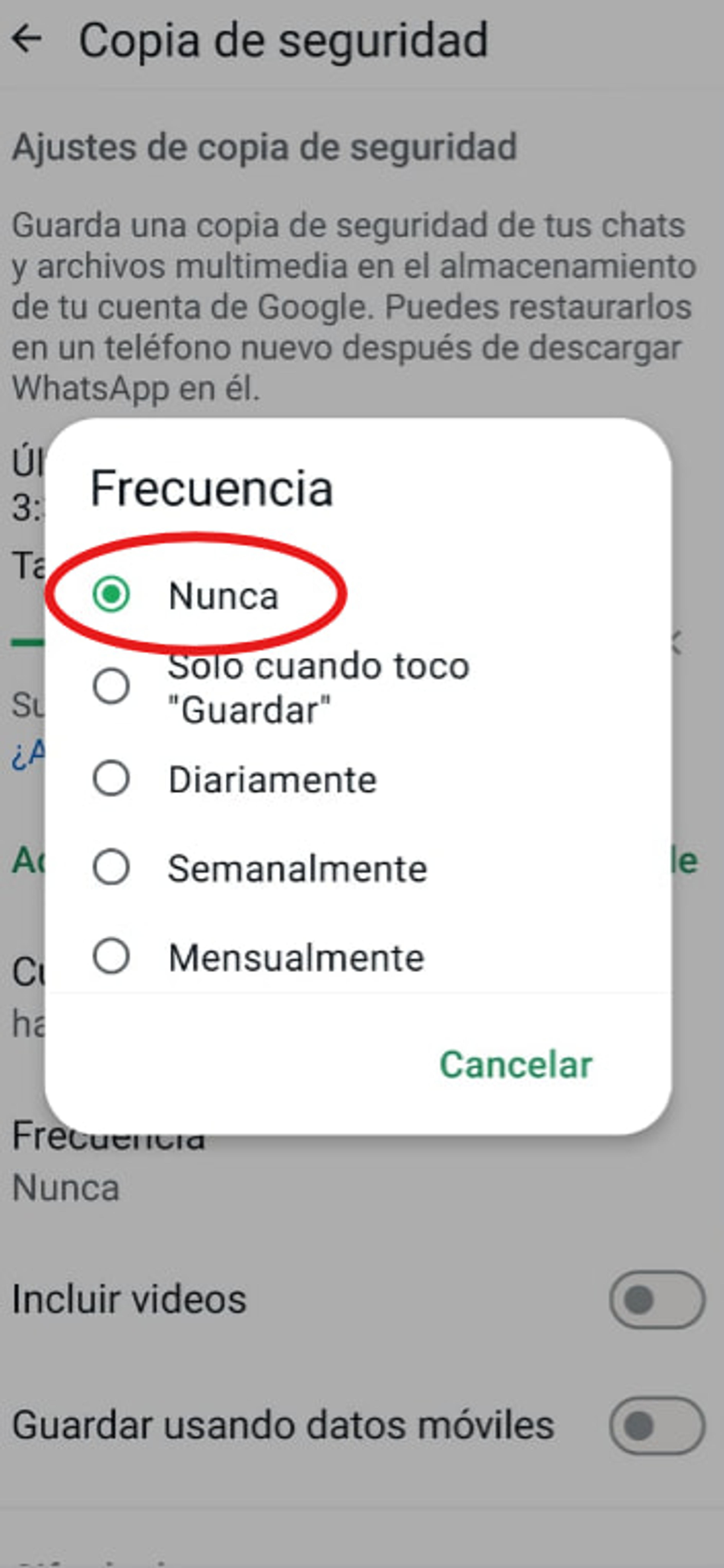 Menú de frecuencia de copia de seguridad en WhatsApp Android con la opción "Nunca" seleccionada y resaltada en círculo rojo