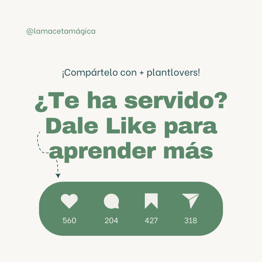 Ilustración del artículo: ¿Qué es un embudo de ventas en Instagram y cómo hacerlo?