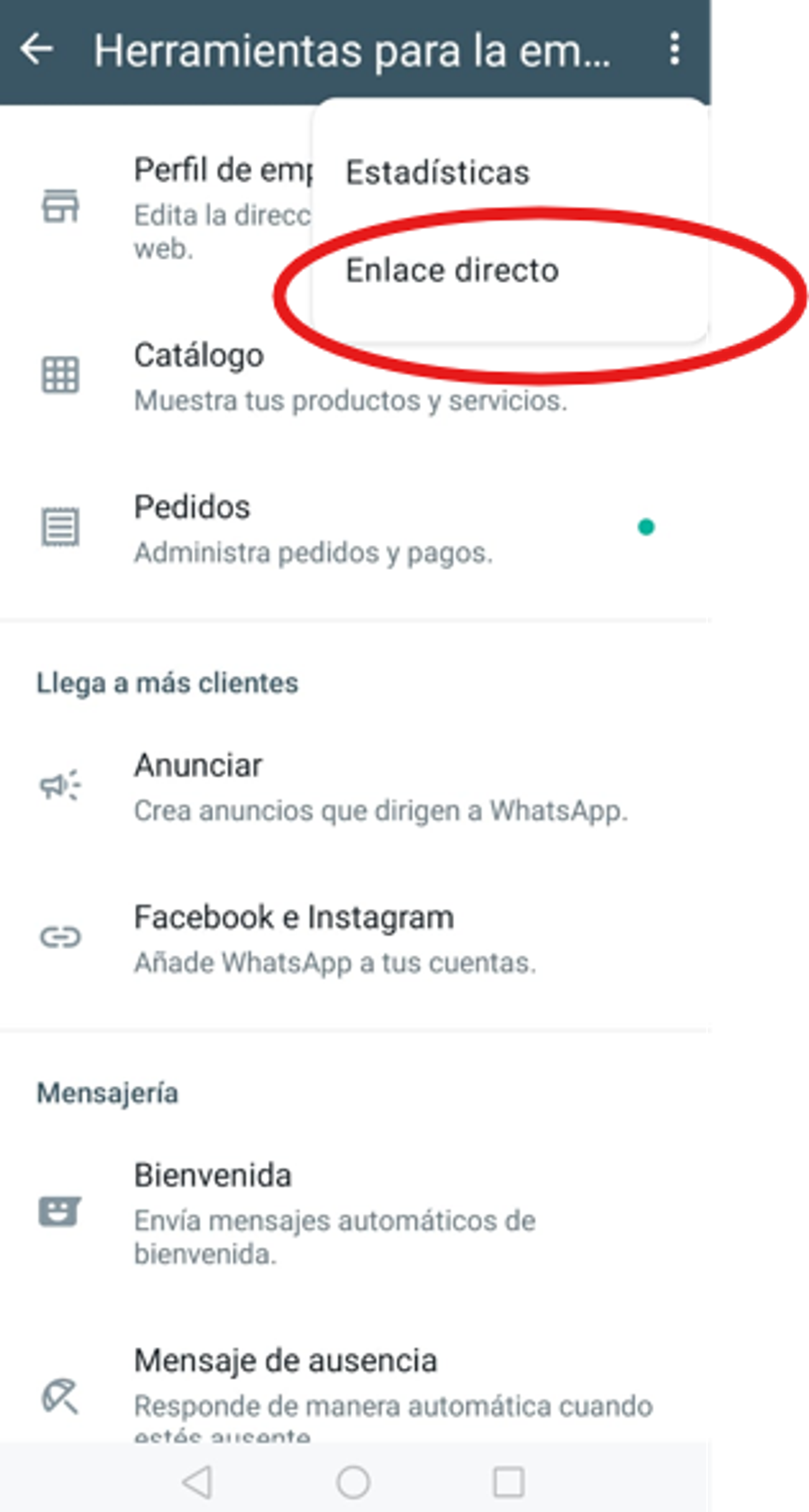 Pantalla de WhatsApp Business para crear enlace directo