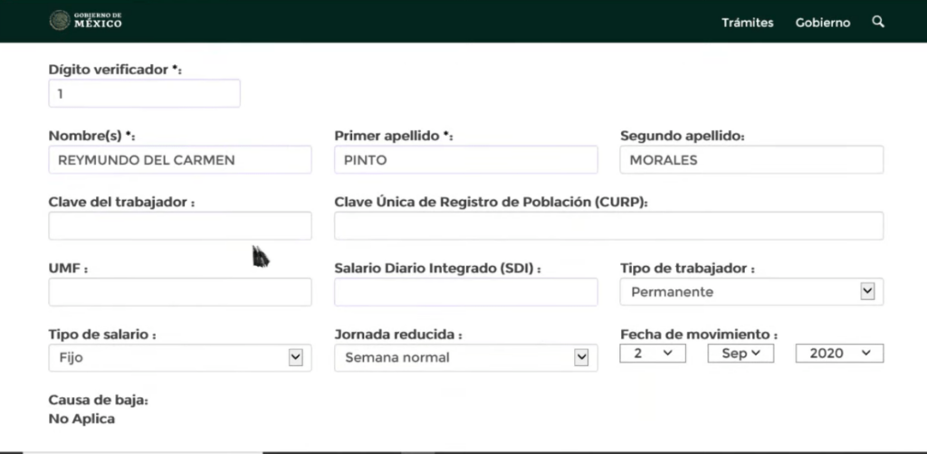 Ilustración del artículo: Cómo dar de alta a tus empleados en el IMSS
