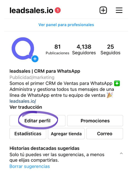 Perfil de Instagram de Leadsales