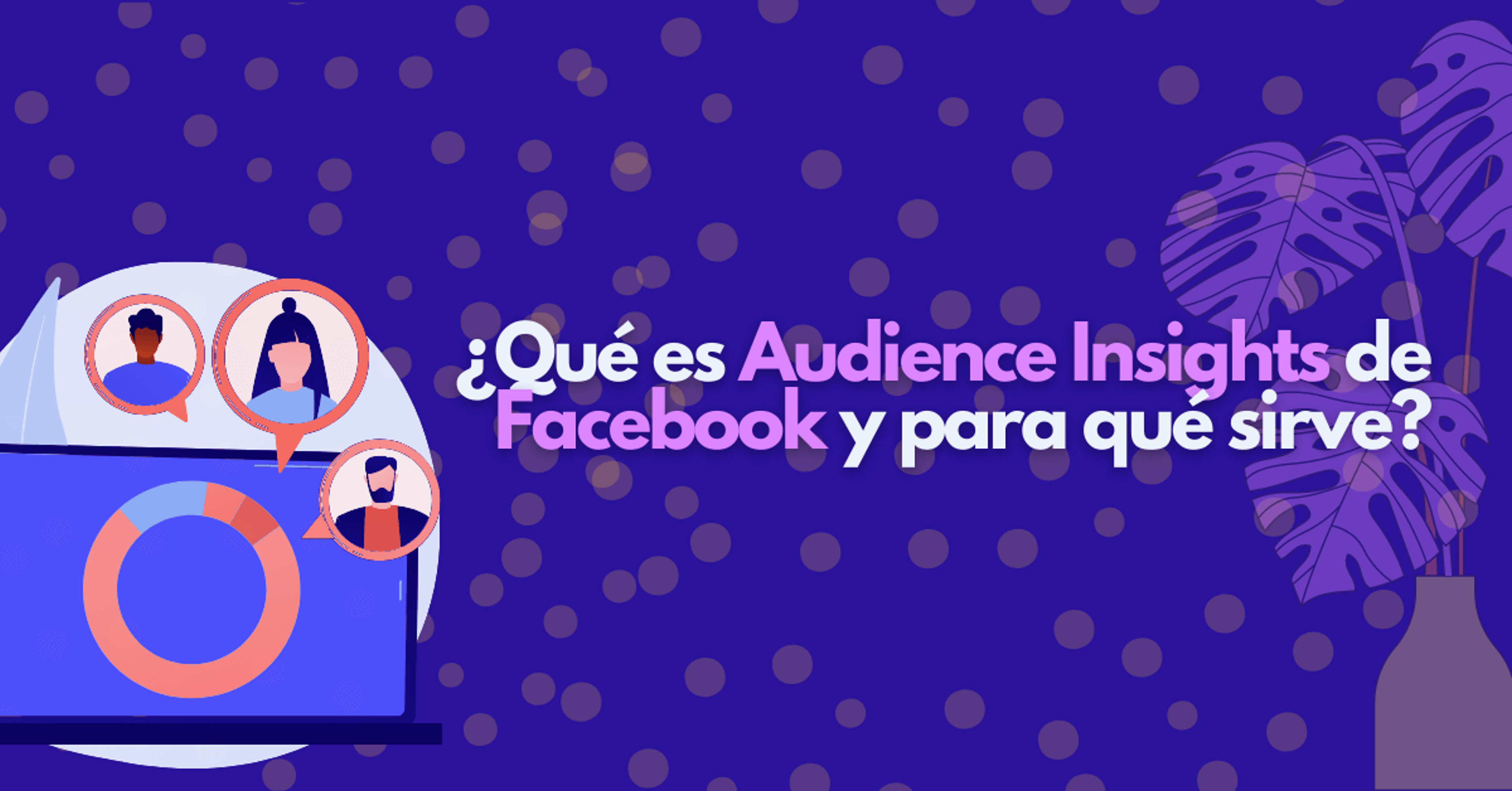 Portada del artículo: ¿Qué es Audience Insights de Facebook y para qué sirve?