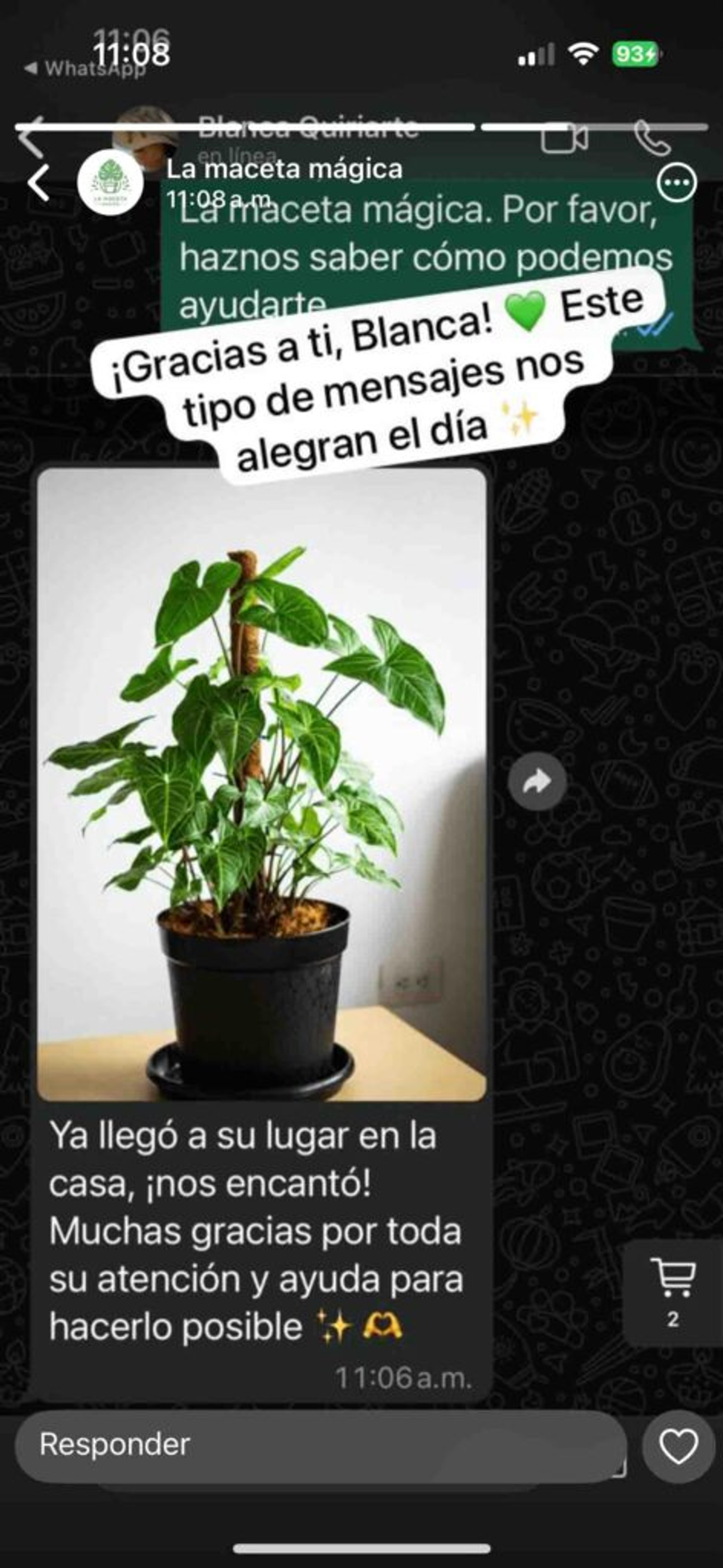 Ilustración del artículo: Cómo usar los estados de WhatsApp Business para vender más