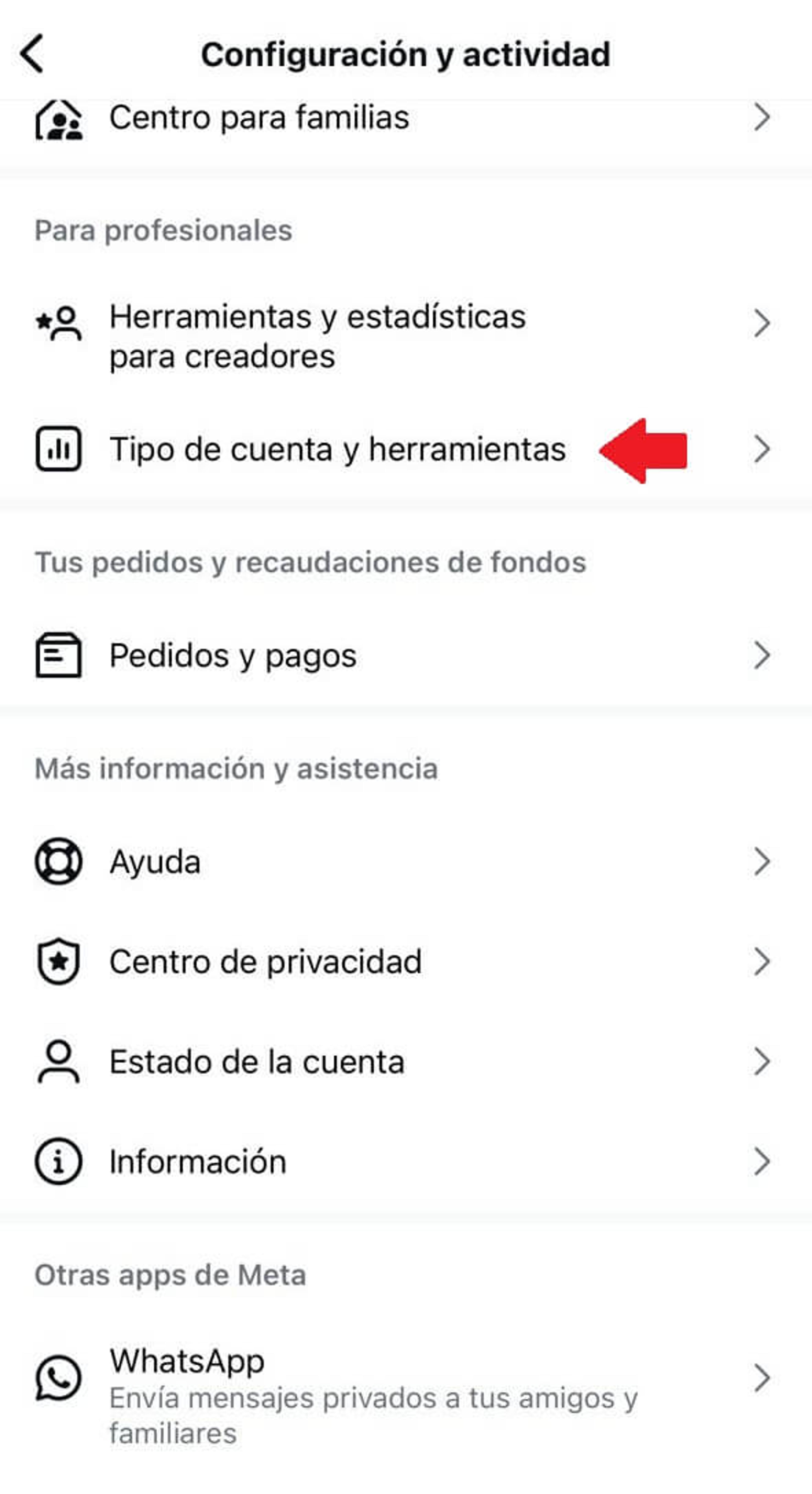 Pantalla para cambiar tipo de cuenta de Instagram