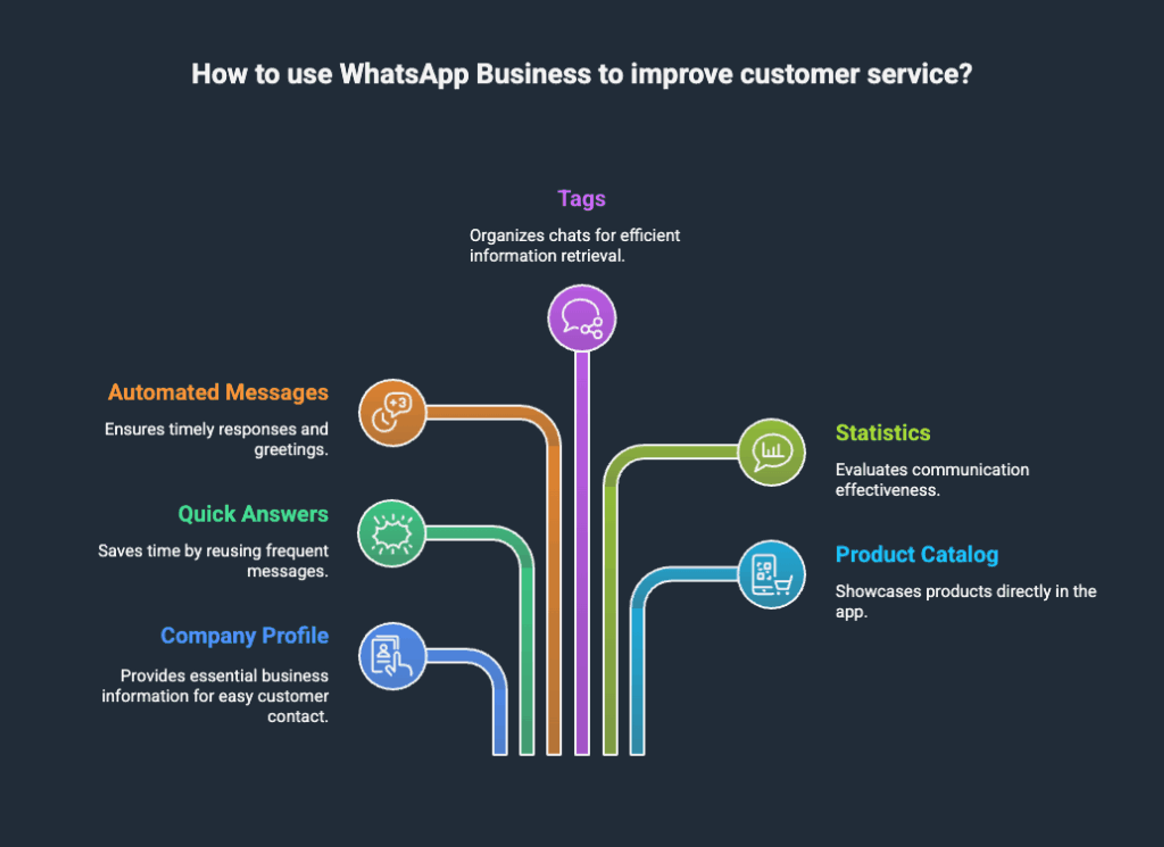 WhatsApp Business features diagram including business profile, quick replies, automated messages, labels, statistics, and product catalog.